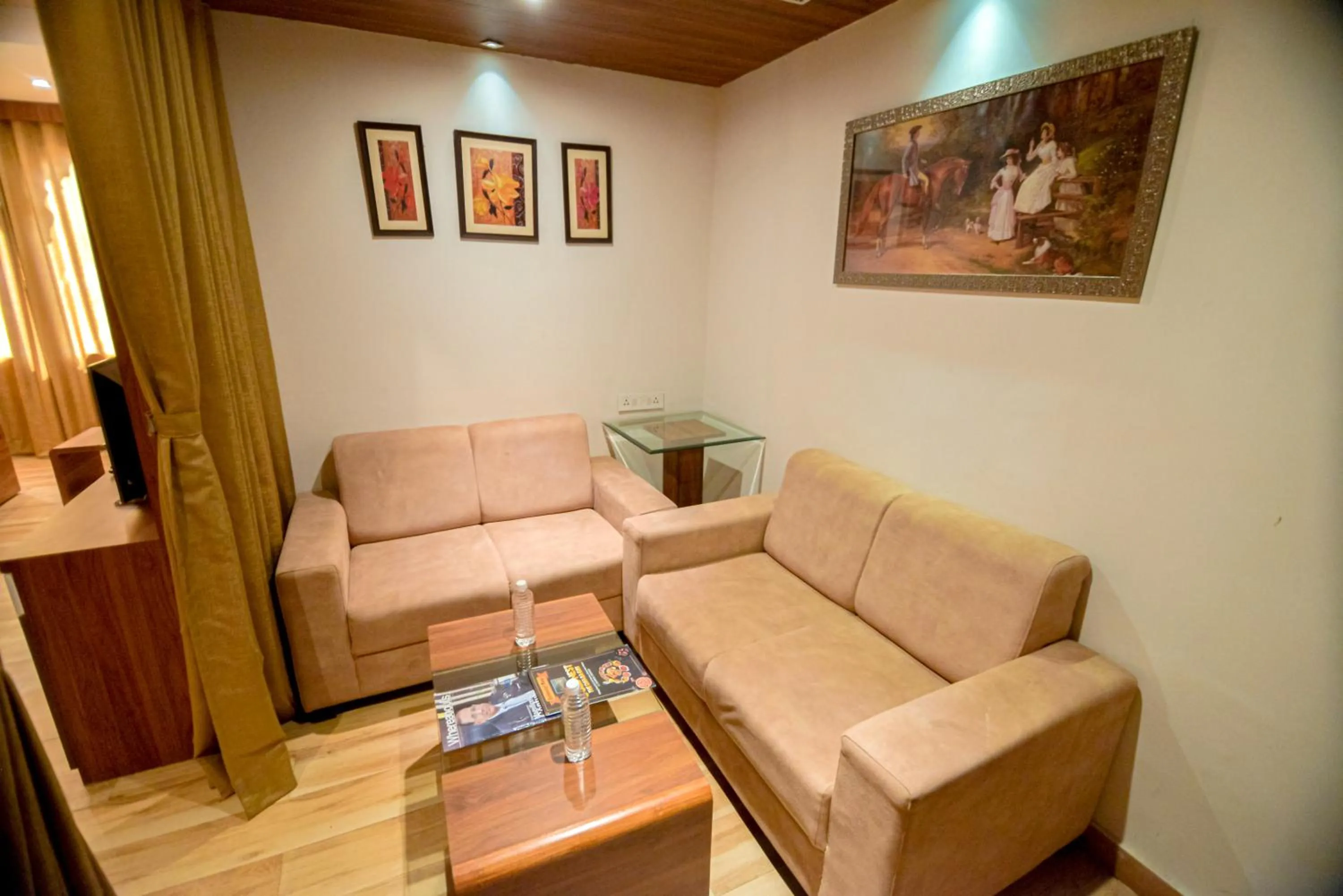 Living room in Gold Nest Rubystone Heritage