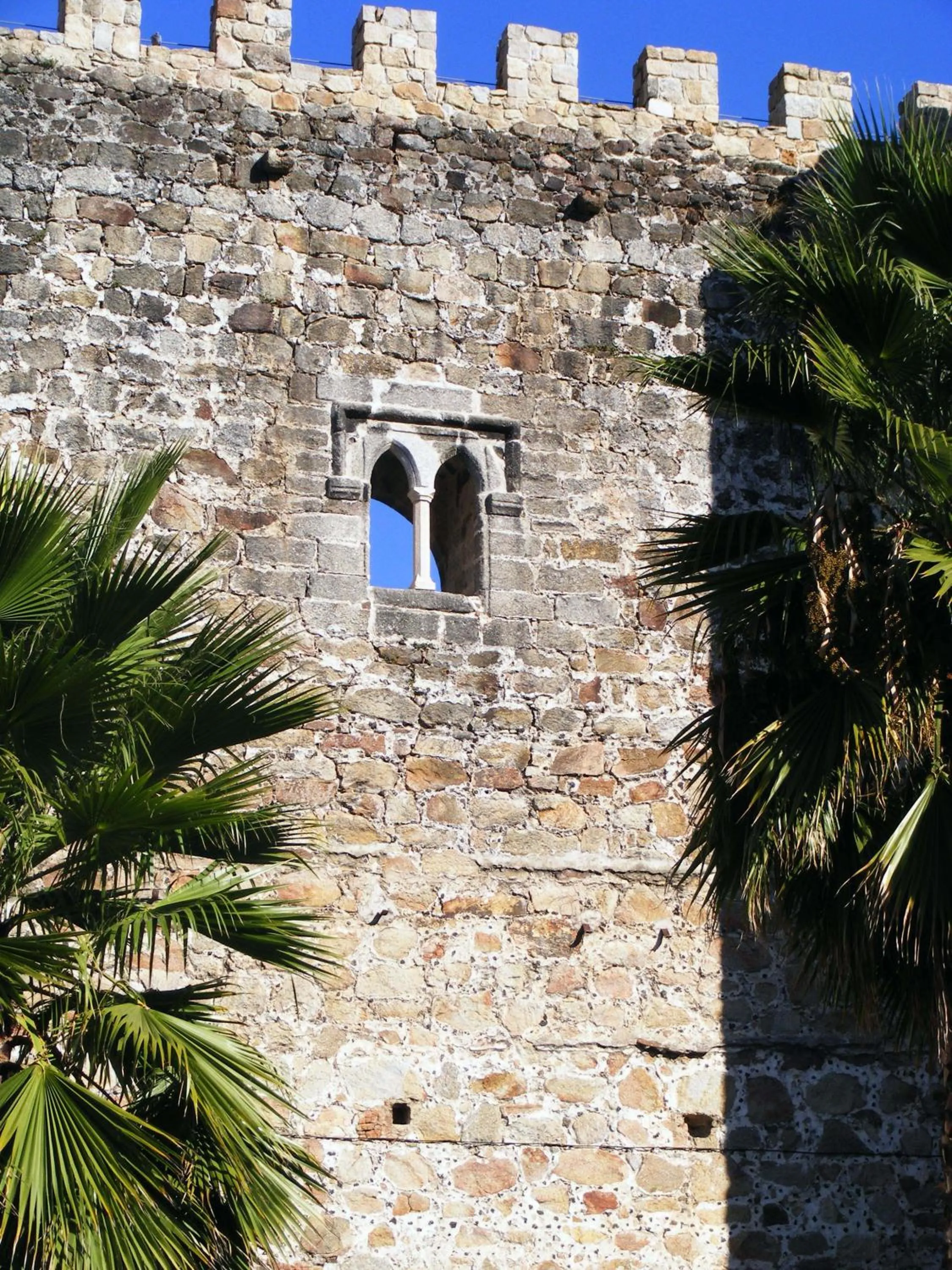 Nearby landmark in Hostal Avenida