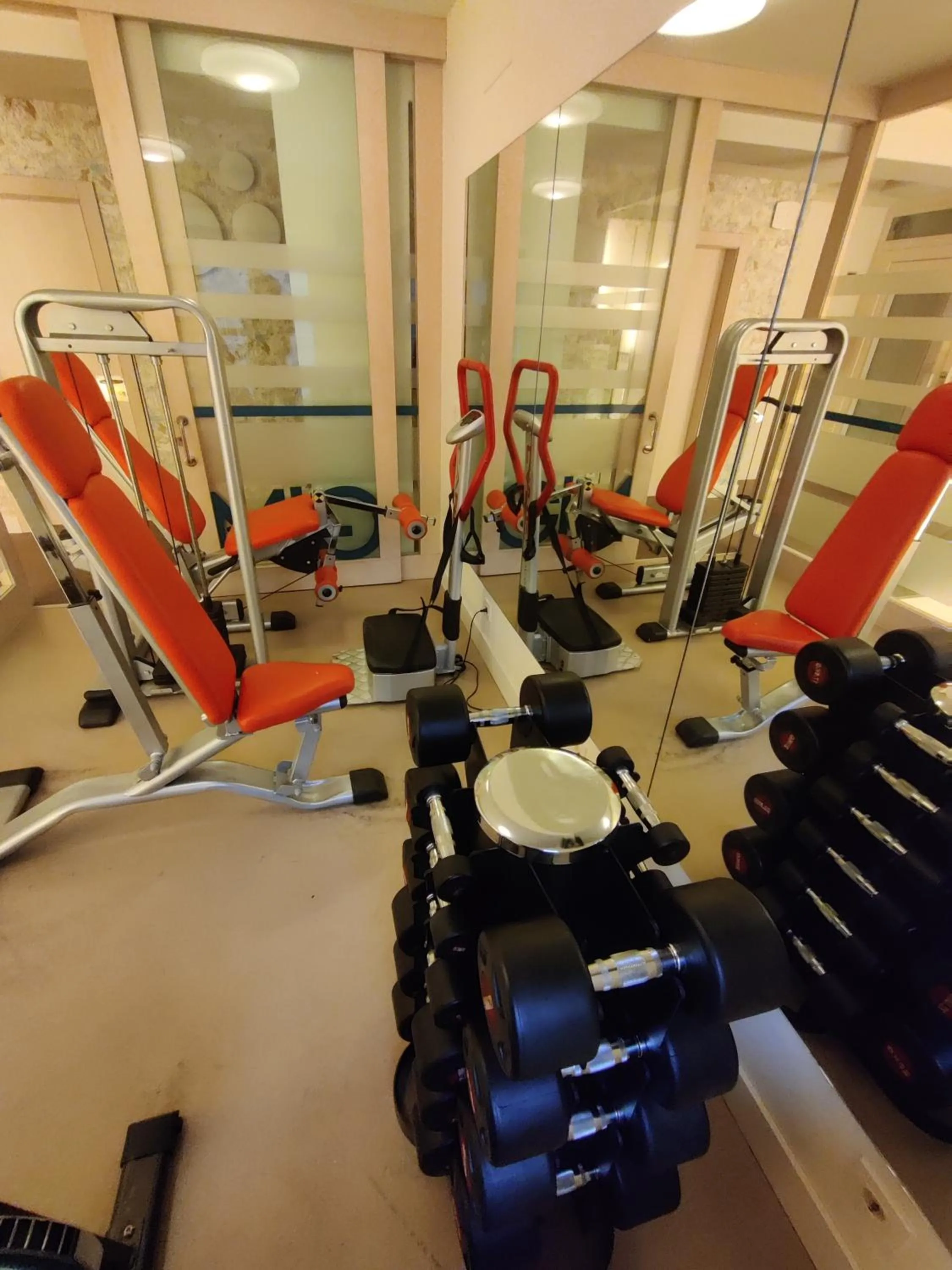 Fitness centre/facilities in Hotel Boreal Viento Norte