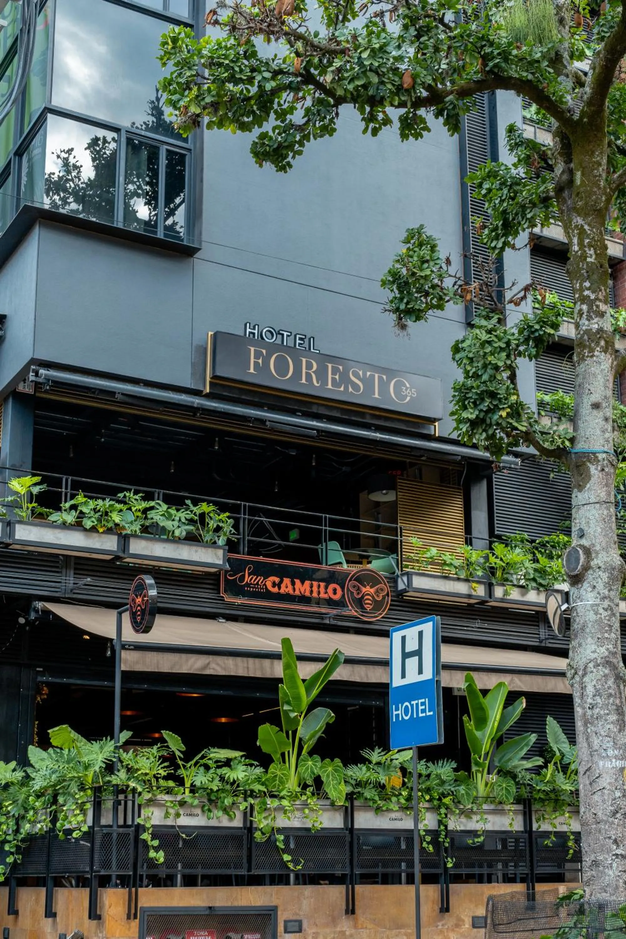 Property building in Hotel Foresto 365