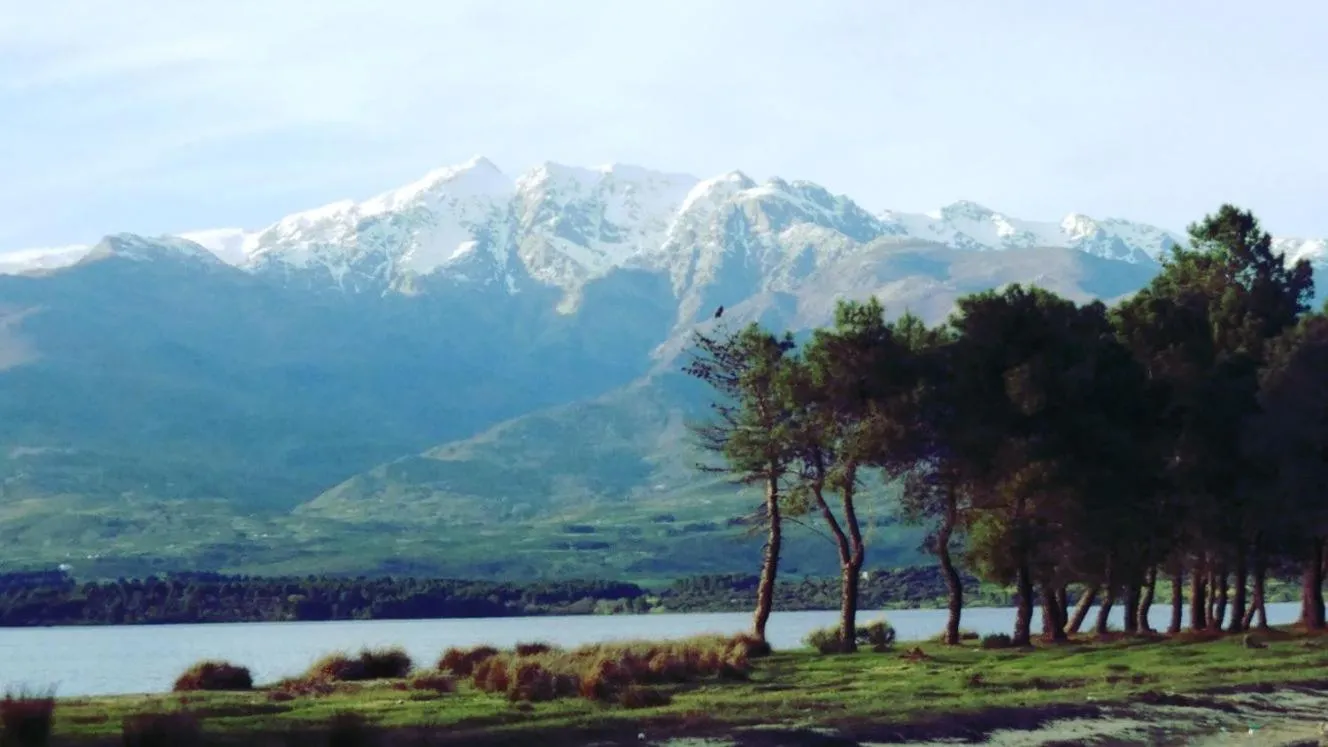 Complejo Camping La Mata