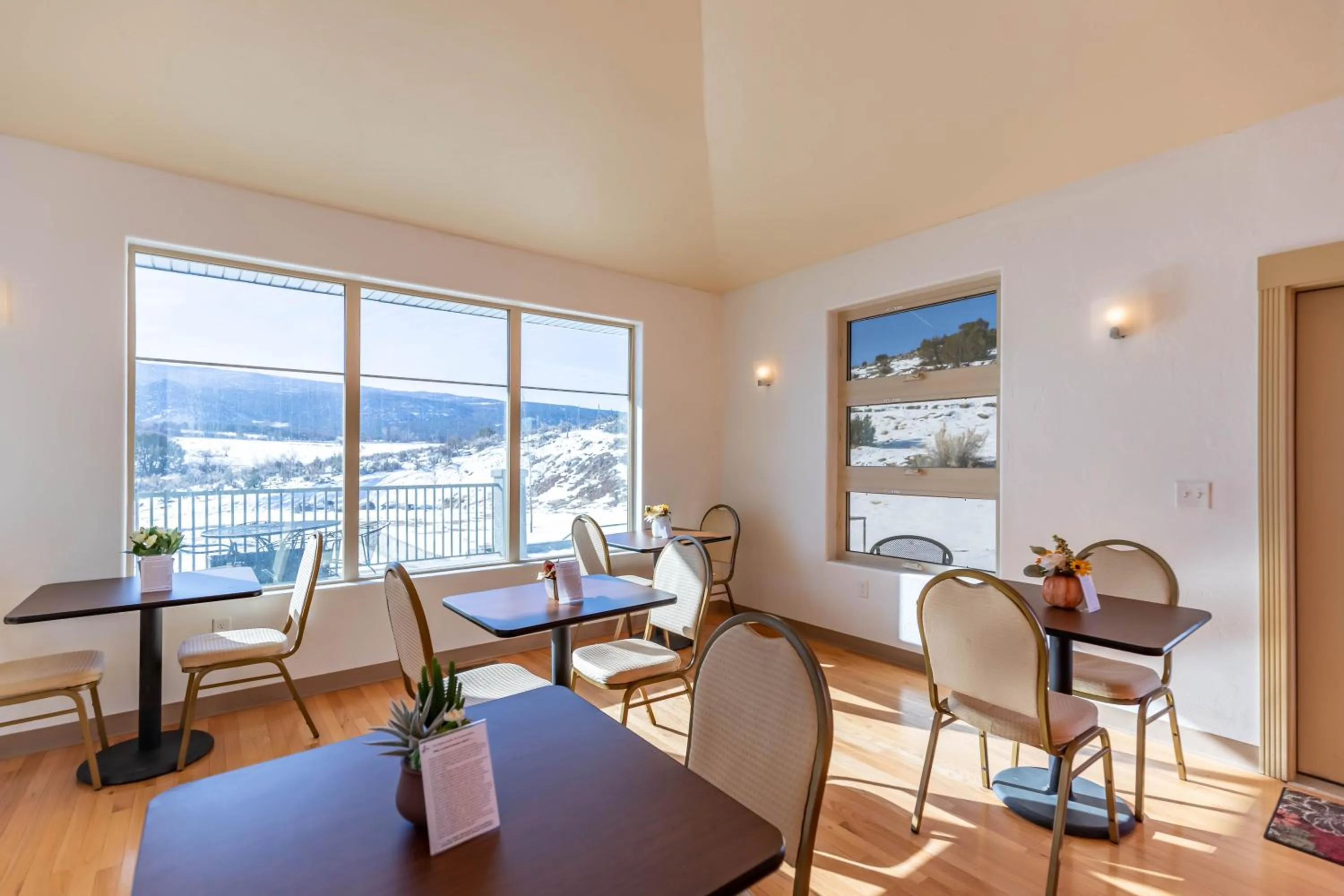 Restaurant/places to eat in The Molina Center