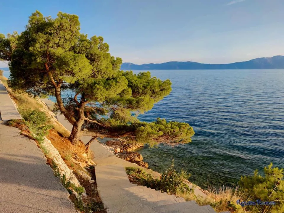 Natural landscape in HOTEL IVANDO - K&S