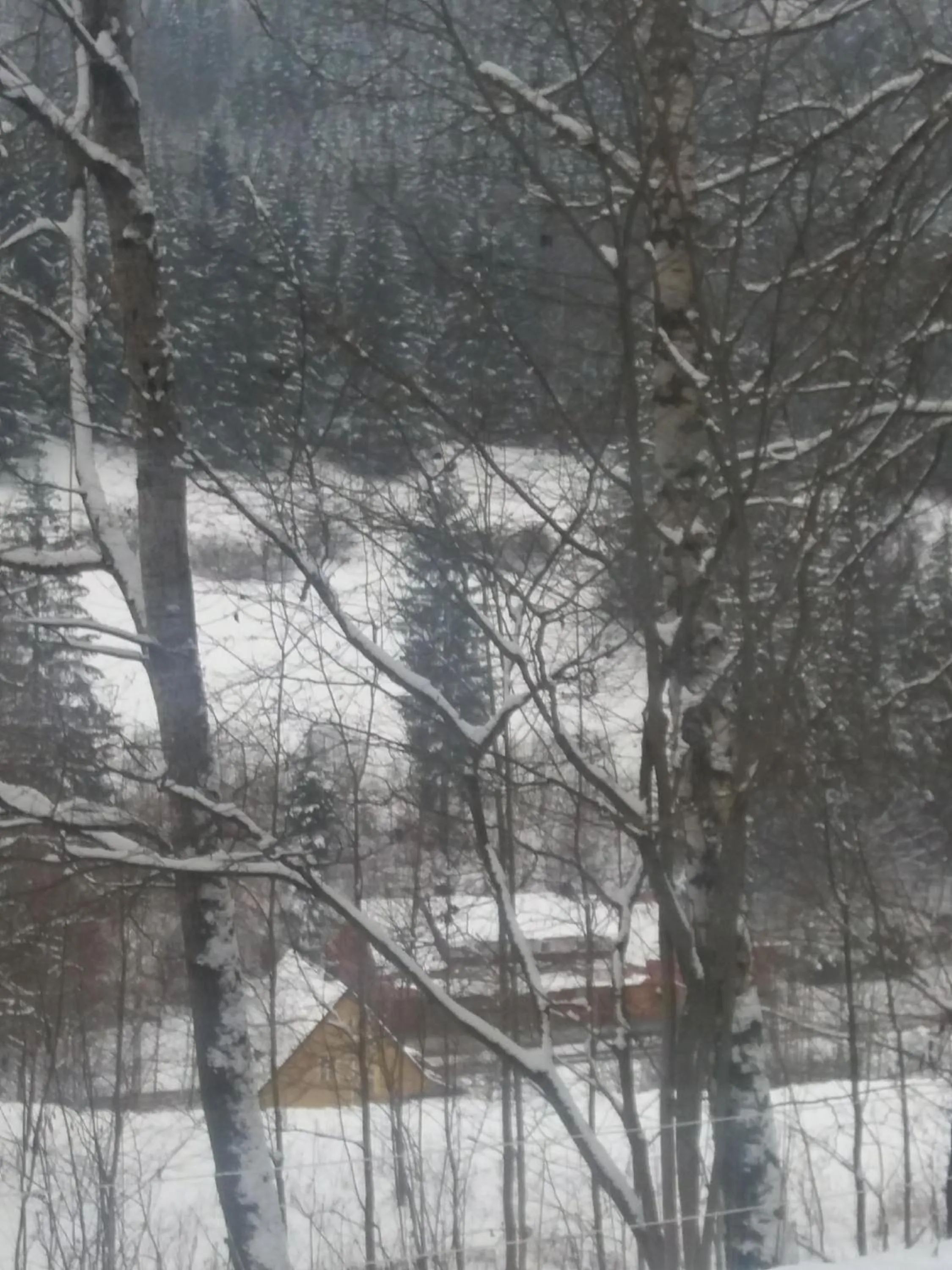 Winter in Hotel ČESKÁ FARMA