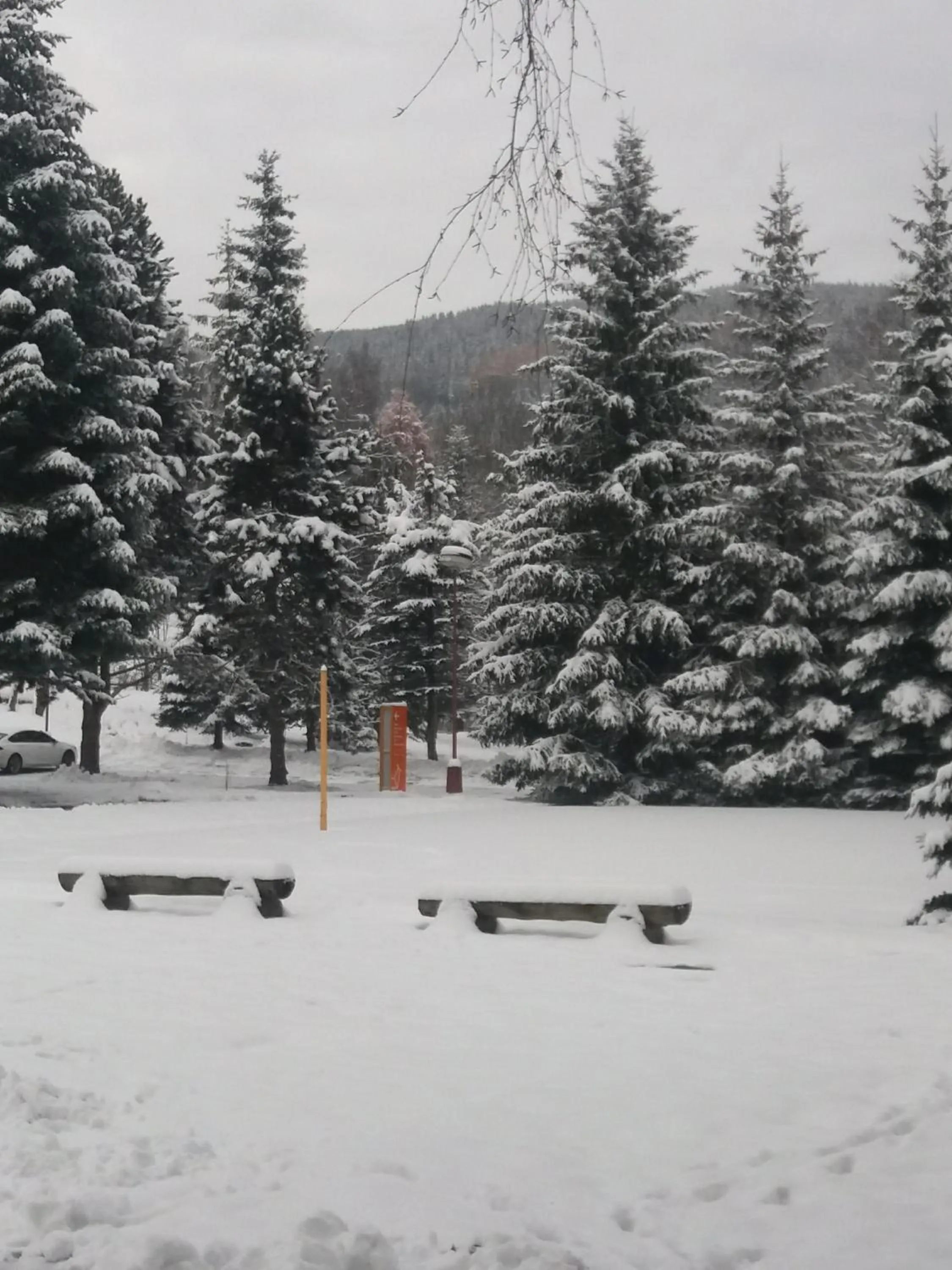 Winter in Hotel ČESKÁ FARMA