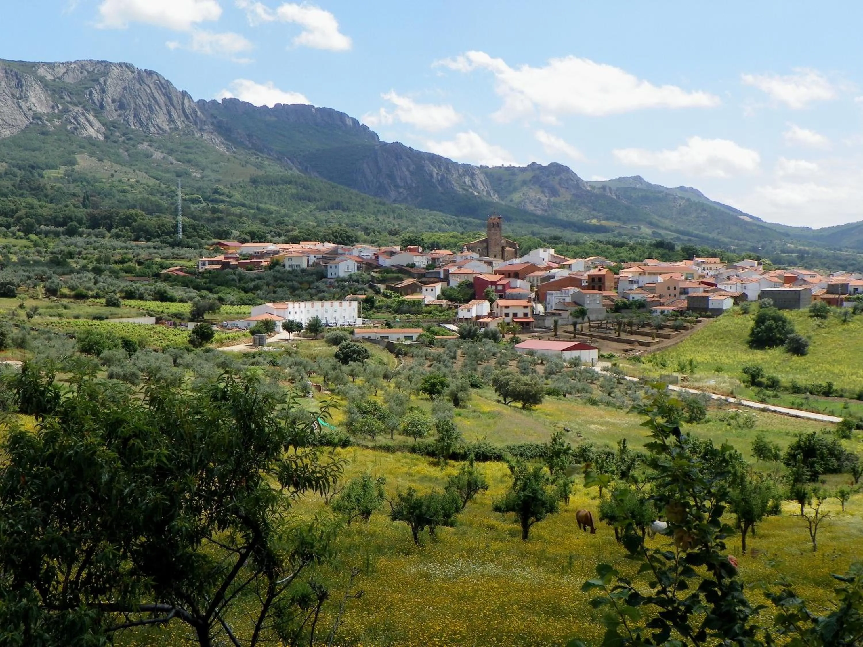 Natural landscape in Hotel Villa de Berzocana