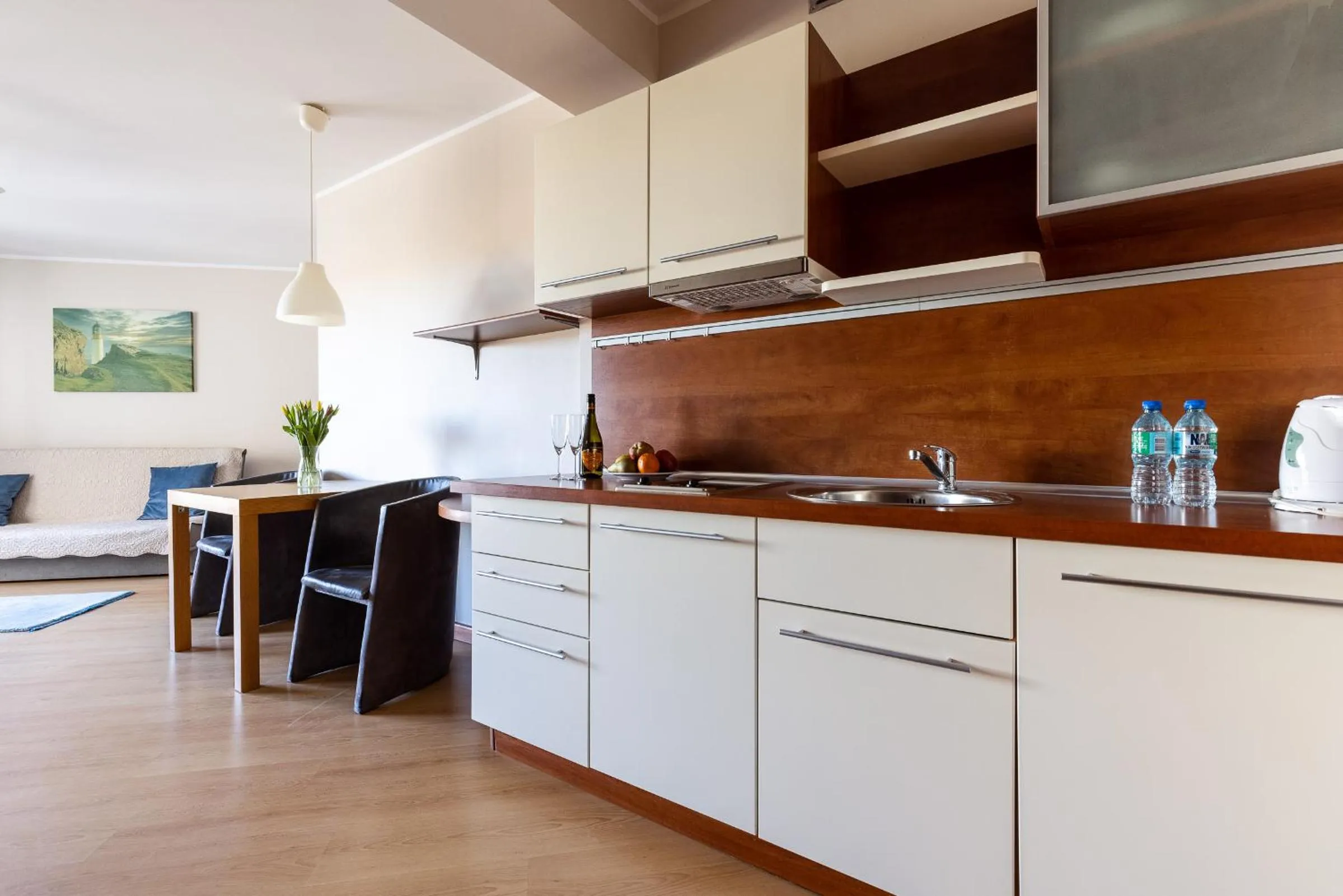 Kitchen or kitchenette in Maloves Resort & Spa, pokoje w bocznych budynkach