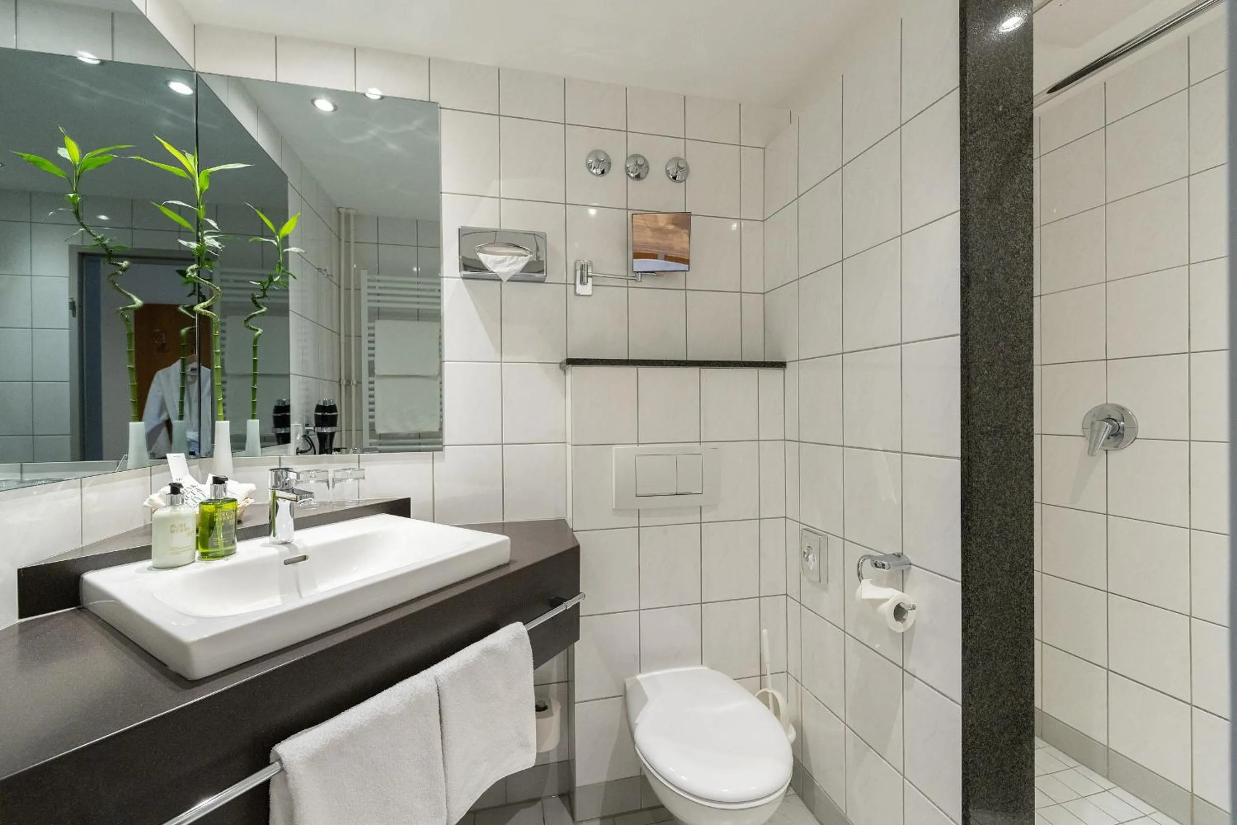 Bathroom in Hotel Bernstein