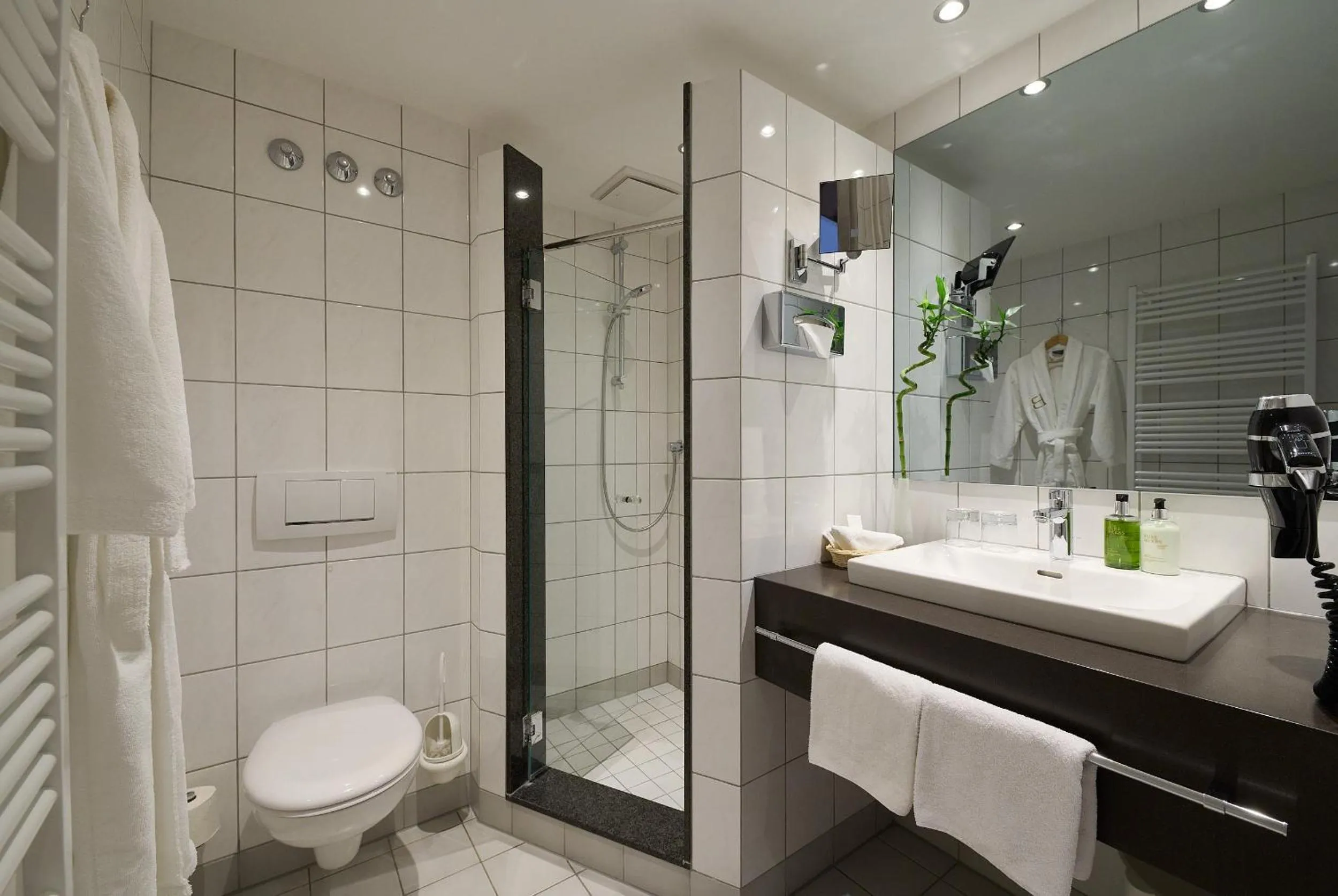 Bathroom in Hotel Bernstein