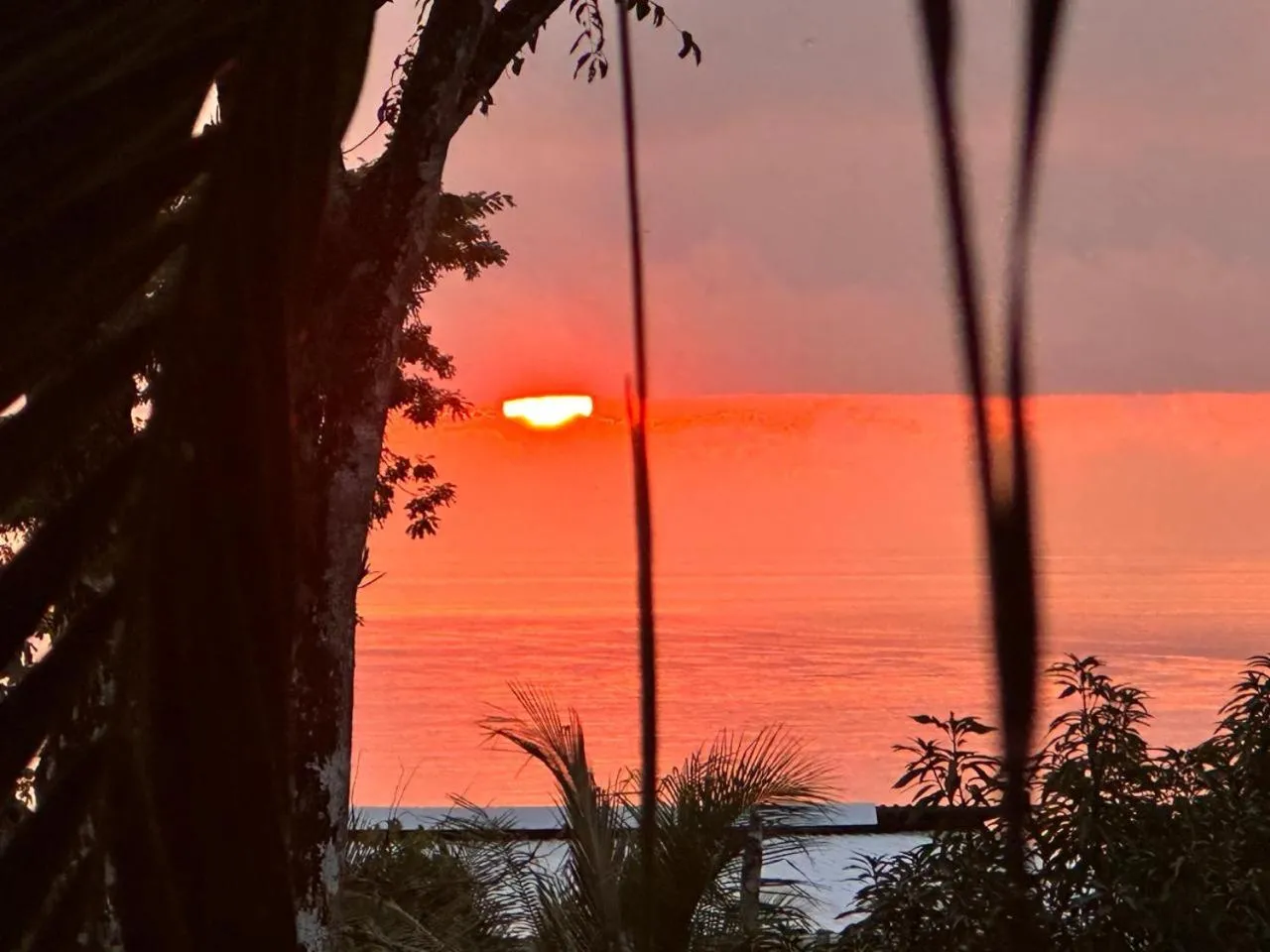 Sea view in La Sana Surf Hotel, Playa Carmen