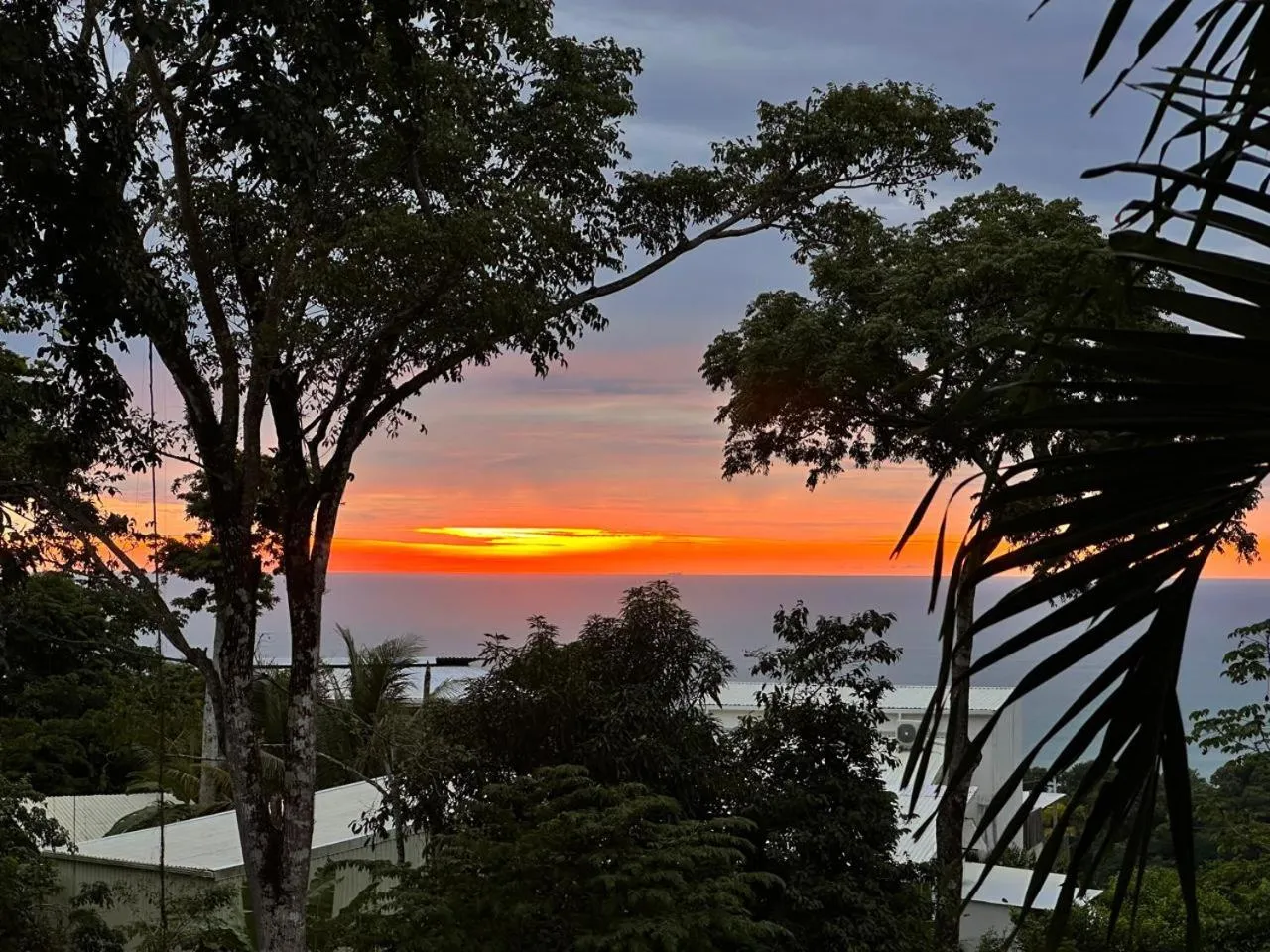 Sea view in La Sana Surf Hotel, Playa Carmen
