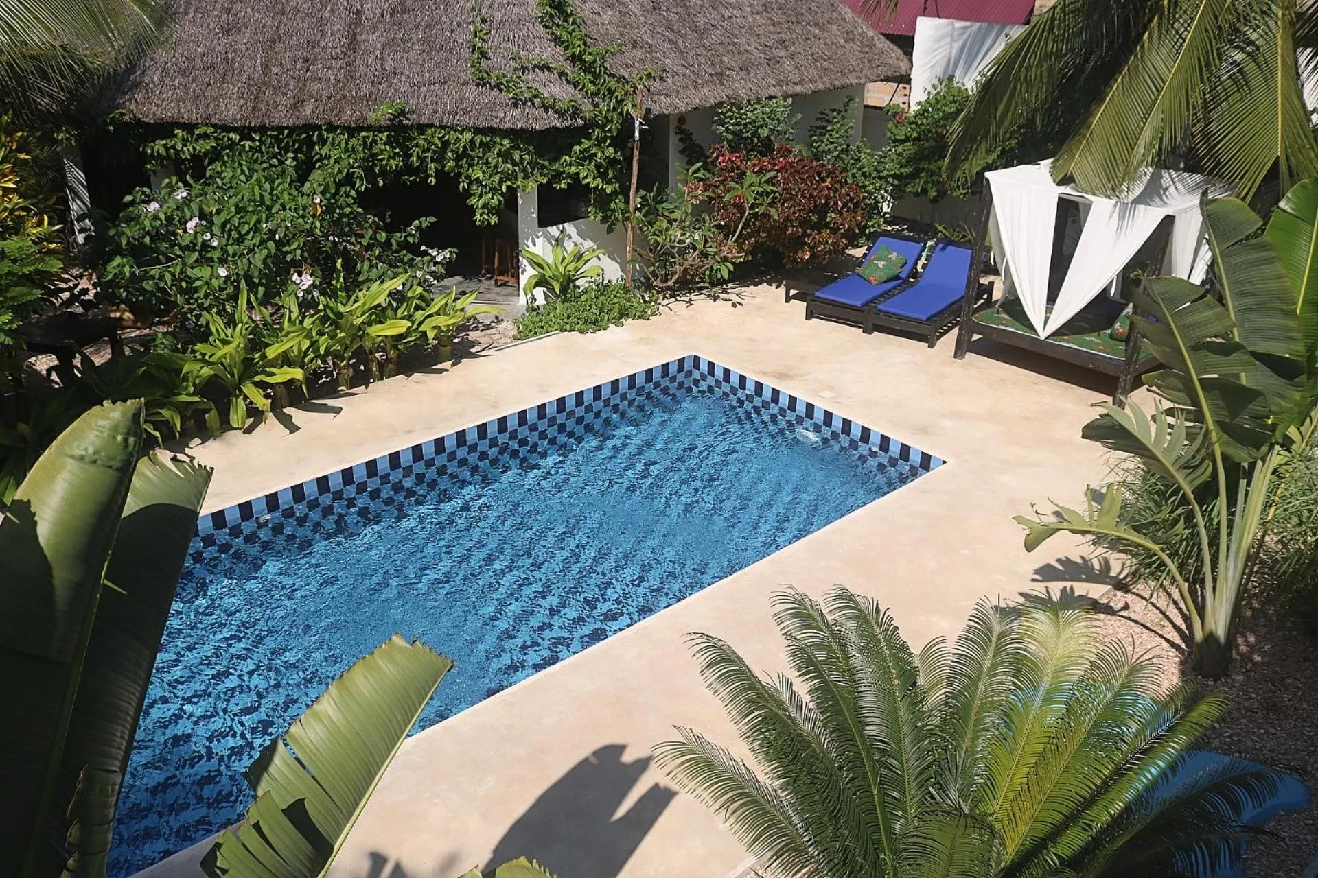 Garden in Aurora Boutique Hotel Jambiani