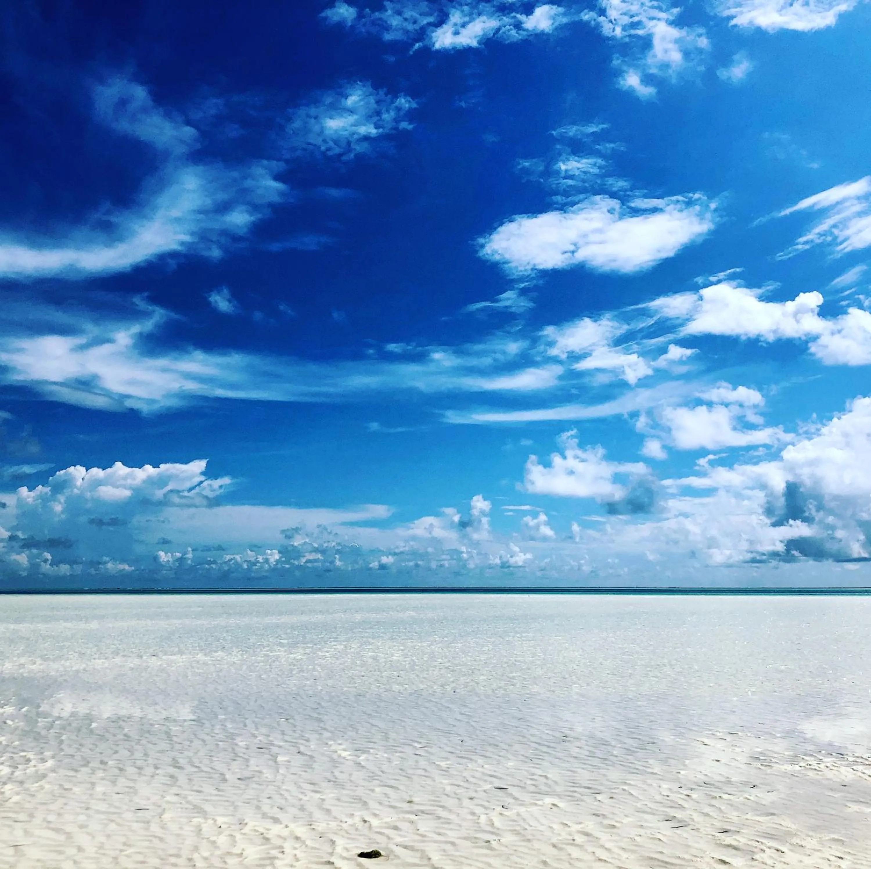 Natural landscape in Aurora Boutique Hotel Jambiani