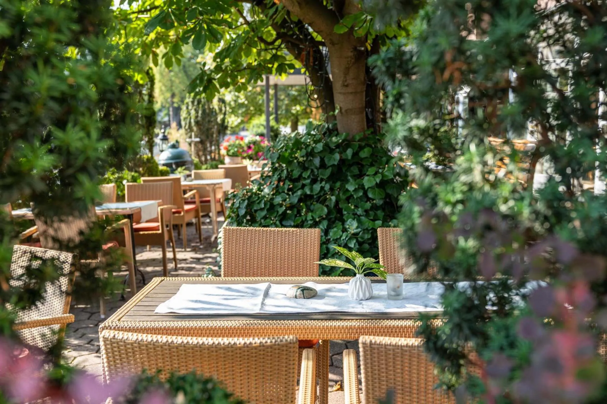 Area and facilities in Hotel Pöker