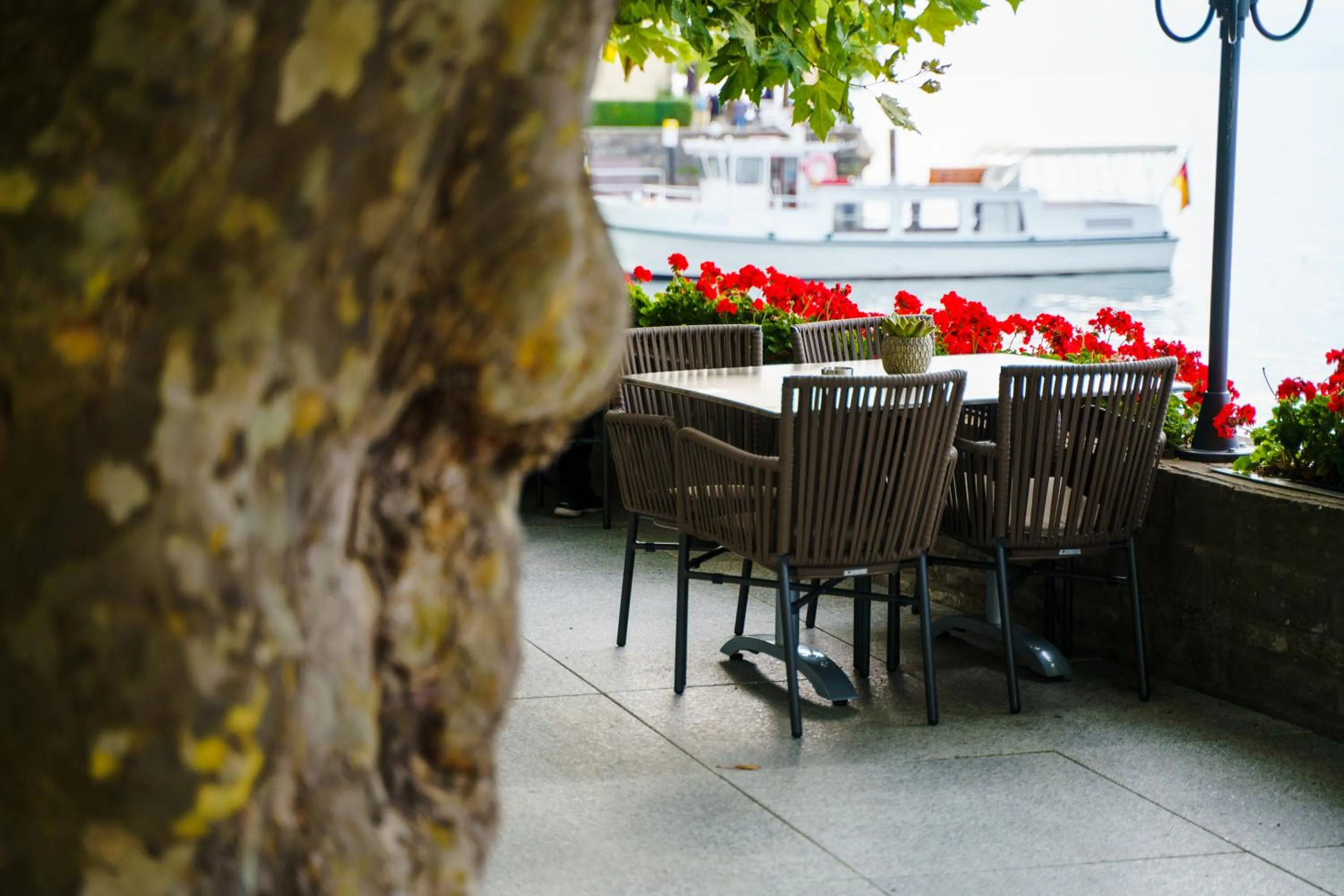 Restaurant/places to eat in Hotel Wilder Mann