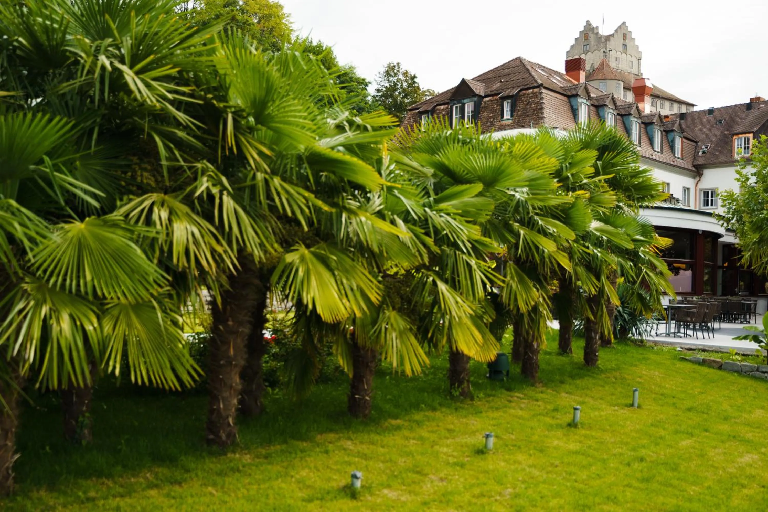 Garden in Hotel Wilder Mann