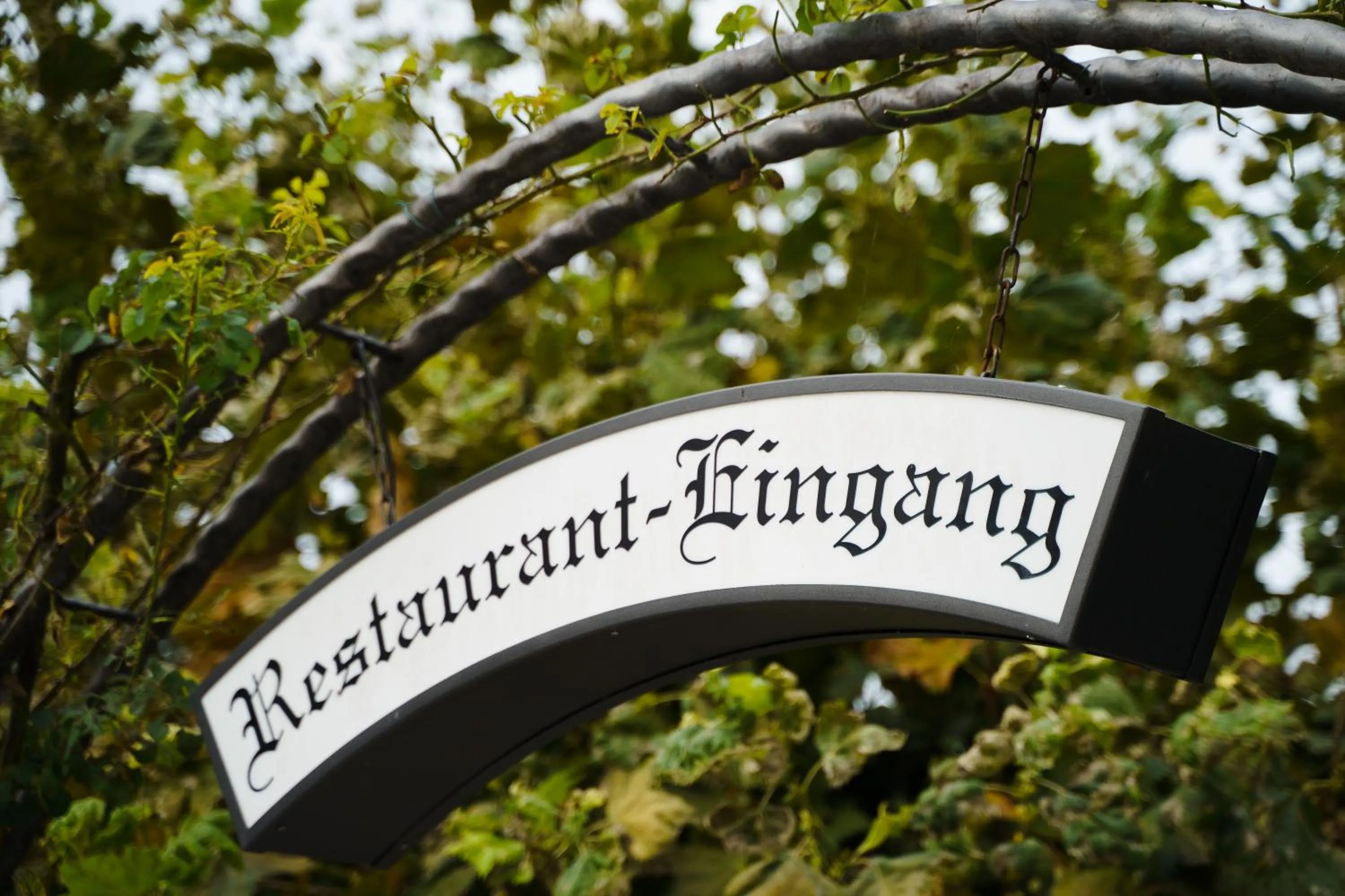 Decorative detail in Hotel Wilder Mann