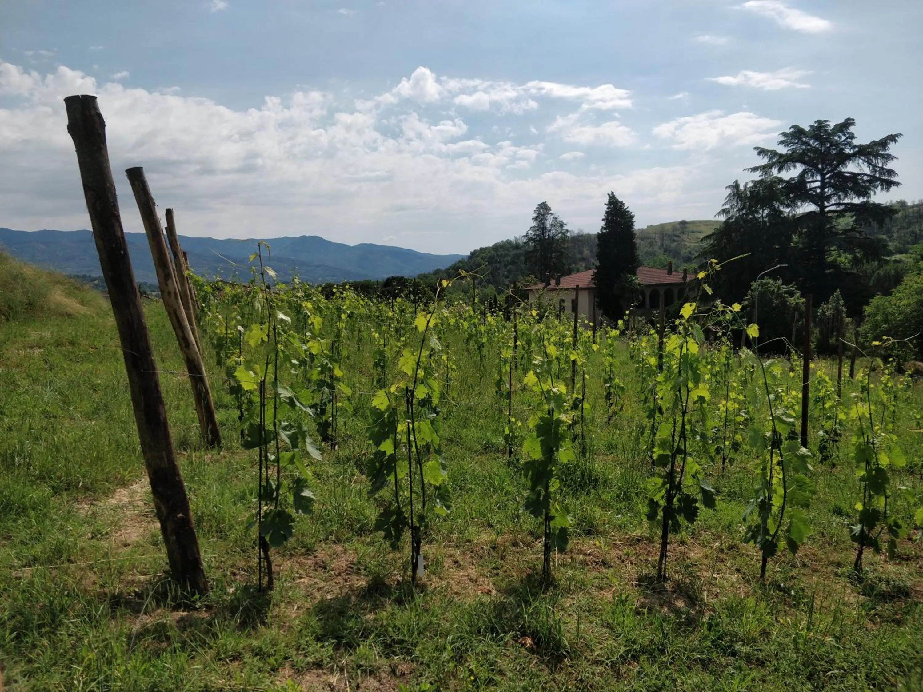 View (from property/room) in La valle B&B