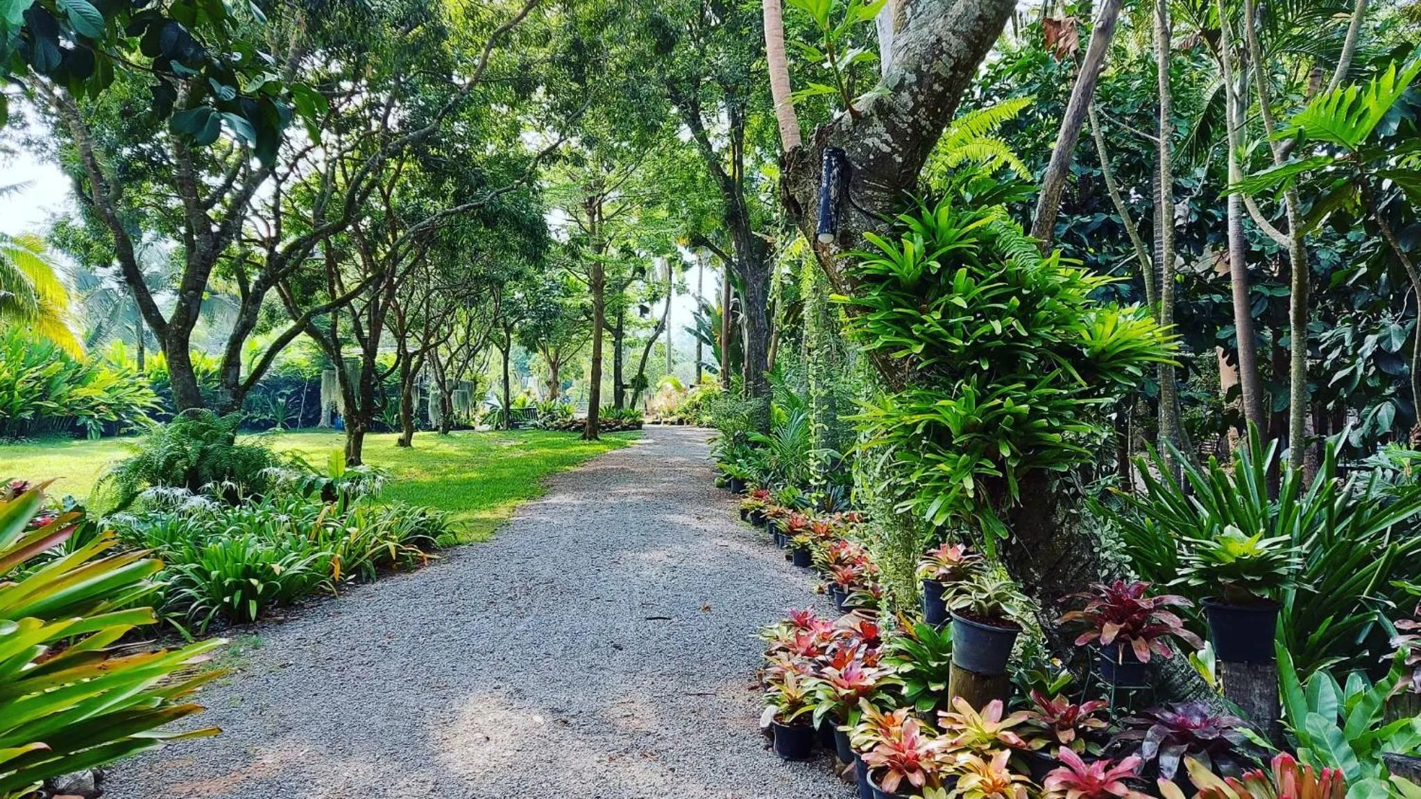Property building in River CoCo @ Amphawa