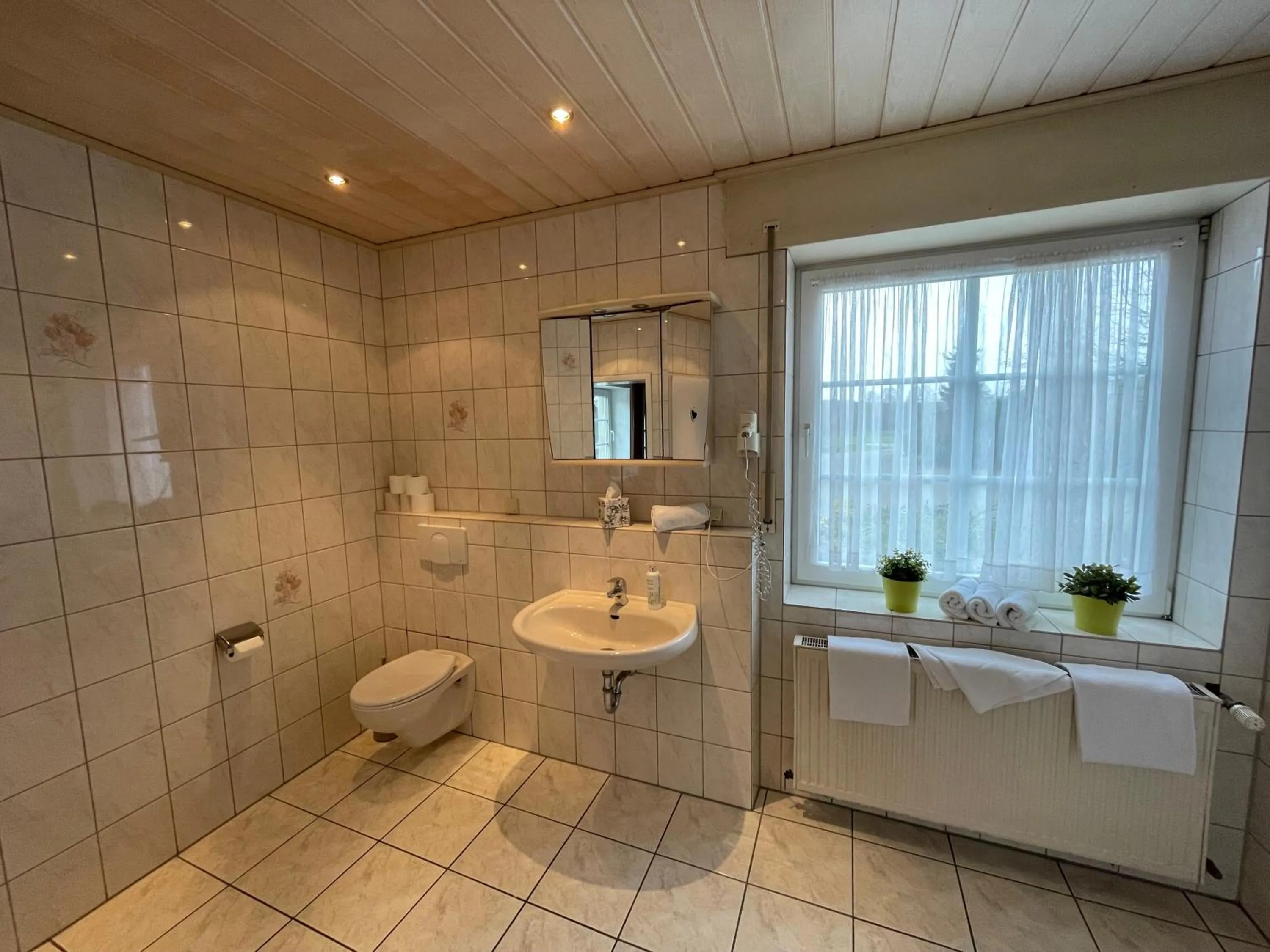 Shower in Landhaus Holthausen