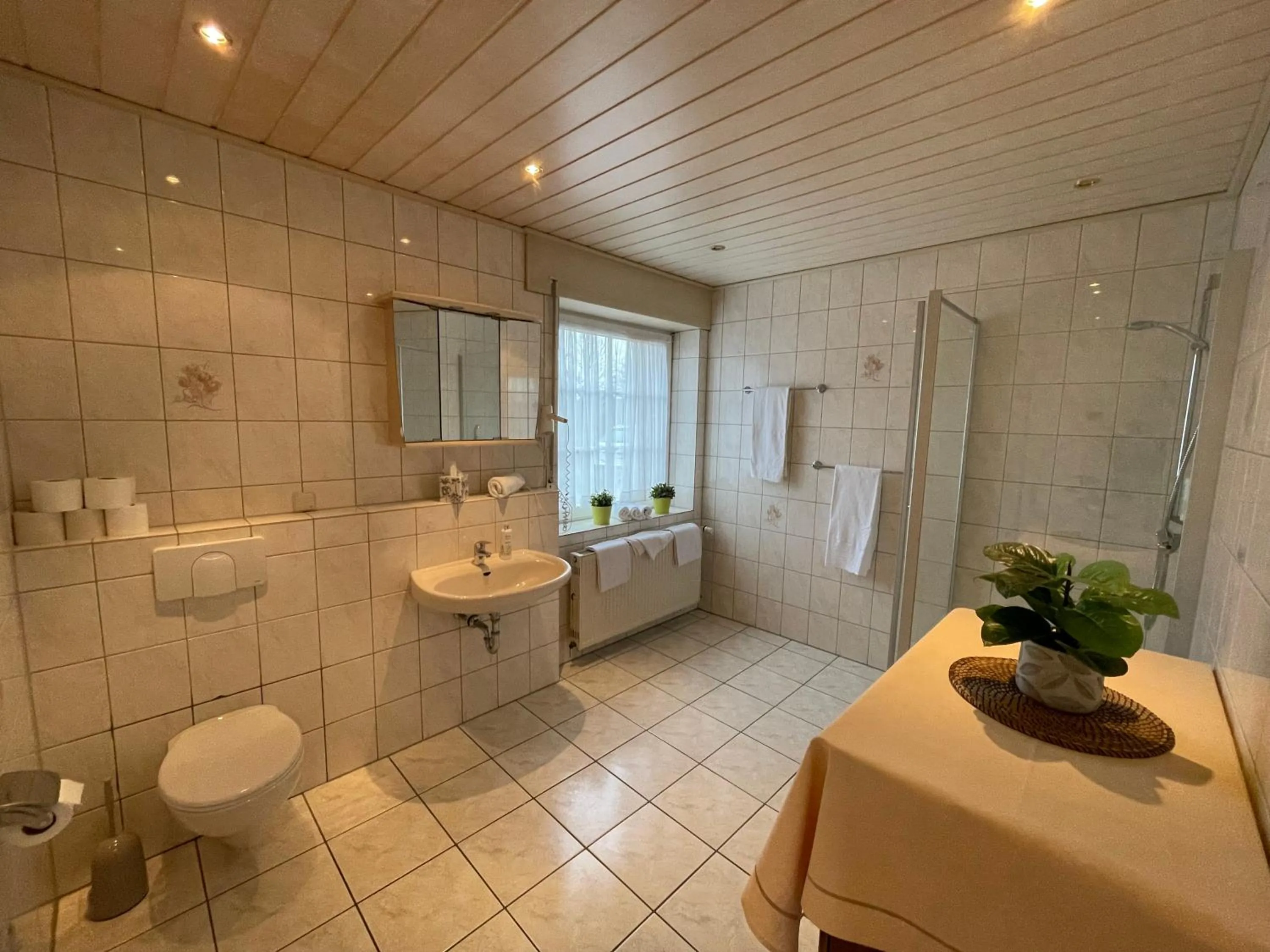 Shower in Landhaus Holthausen