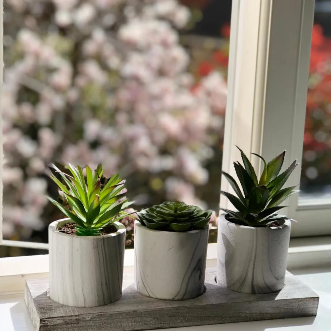 Other in Magnolia Cottage-Exclusive Cotswold Package