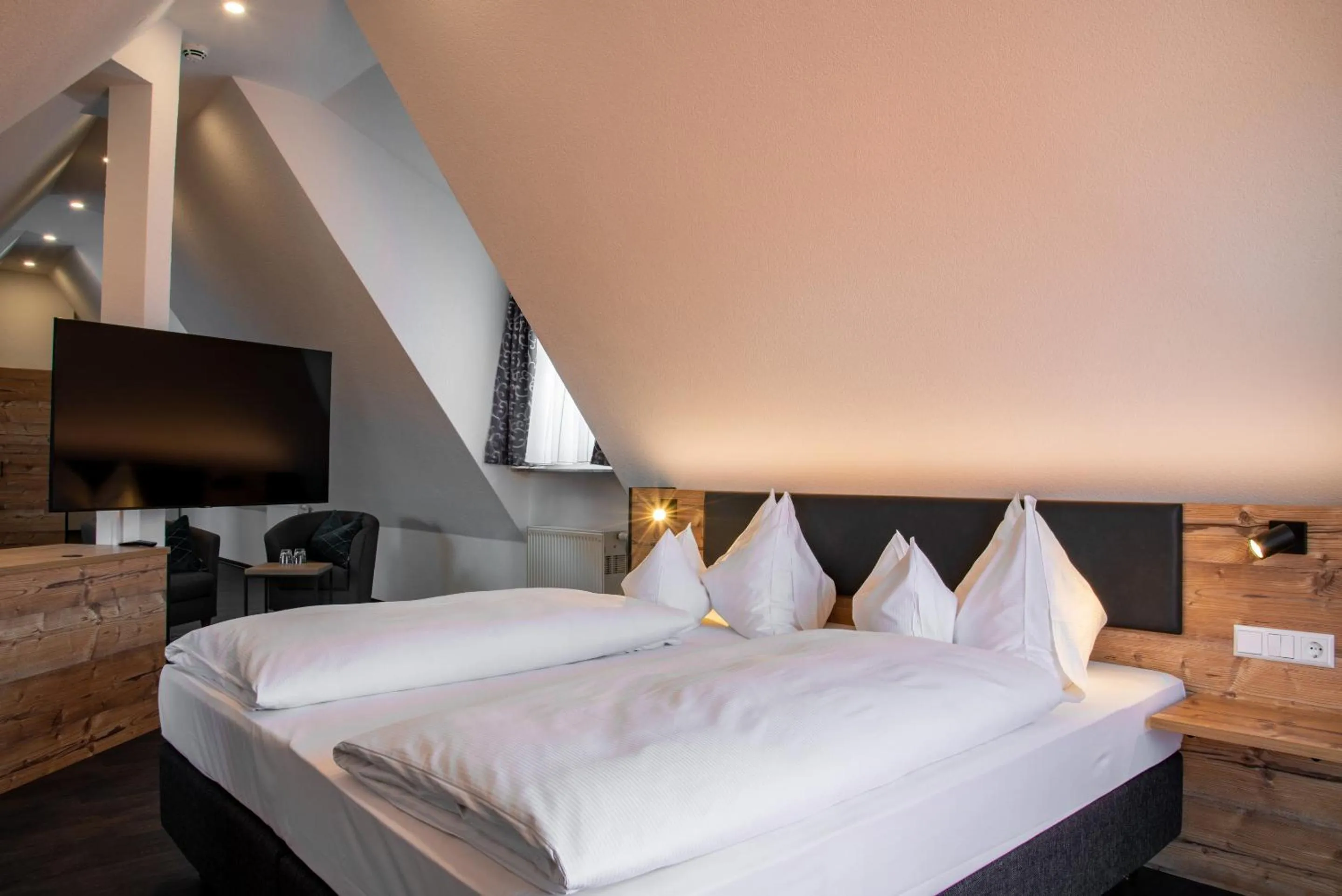 TV and multimedia, Bed in Hotel & Restaurant Post