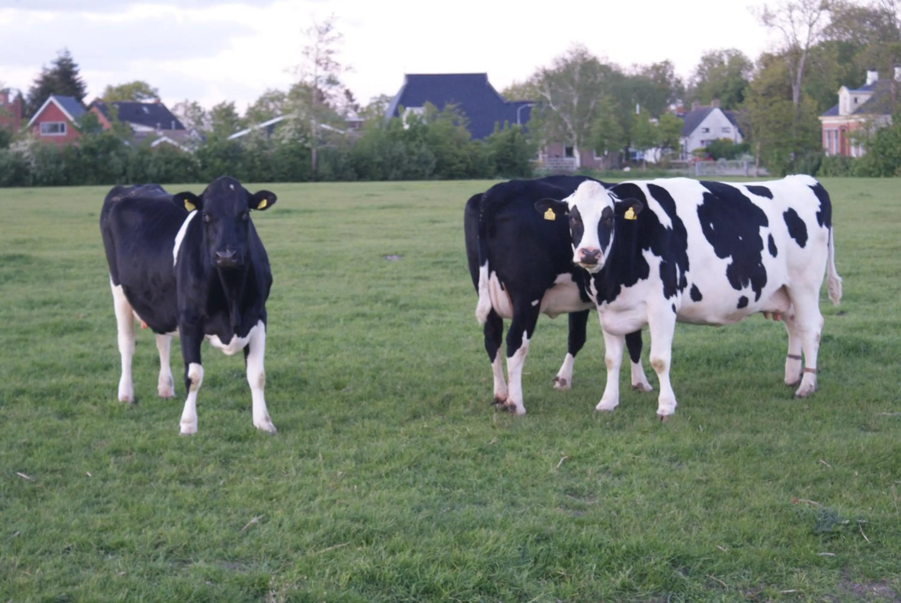 Other in BnB-Heirhuys