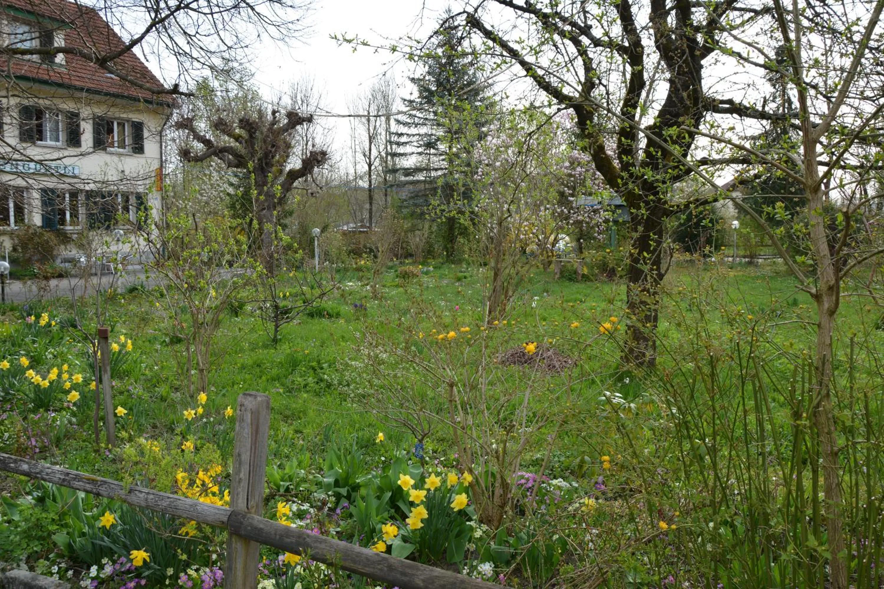 Spring in Hotel Hessengüetli