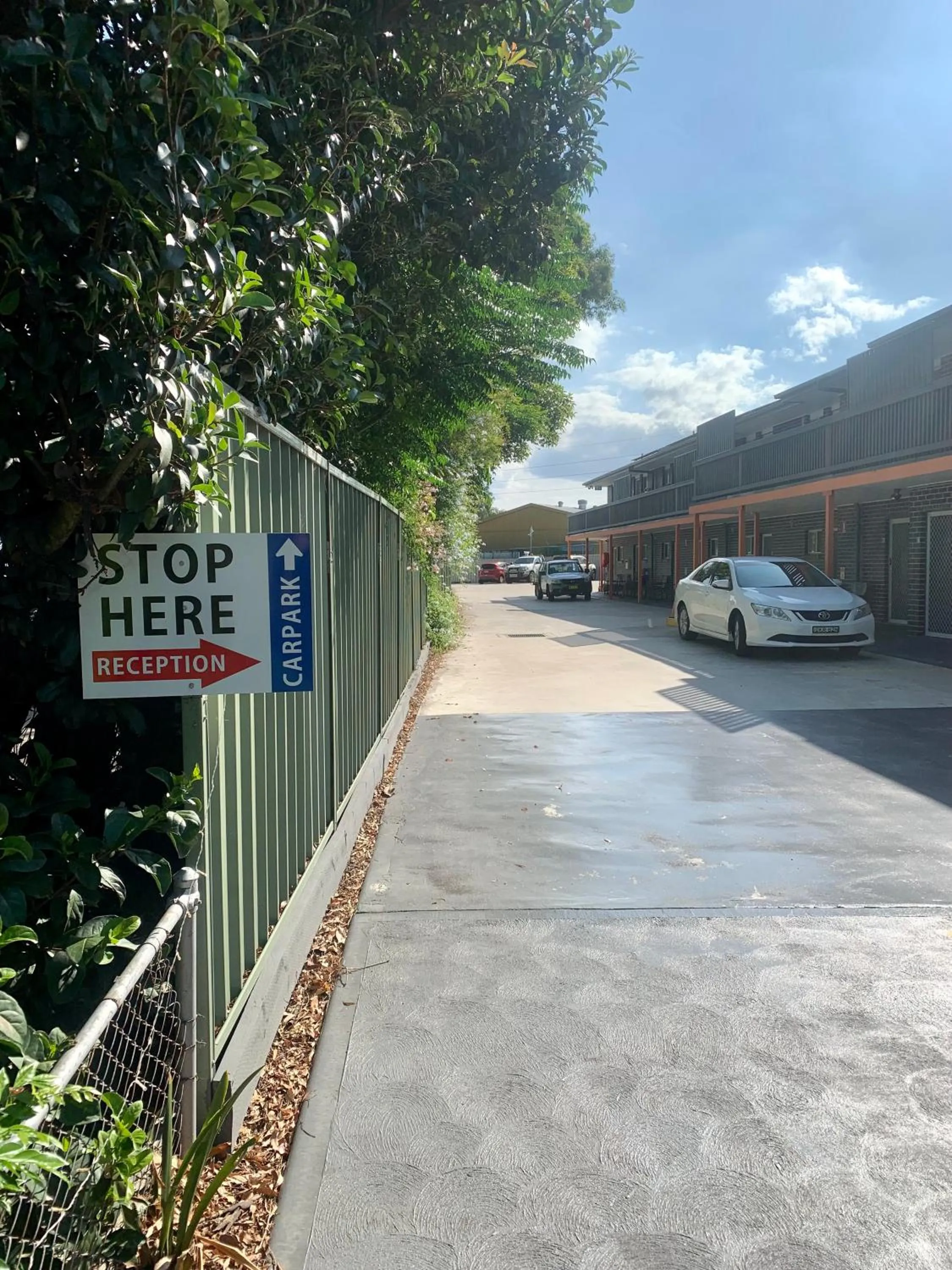 Natural landscape in Singleton Valley Accommodation