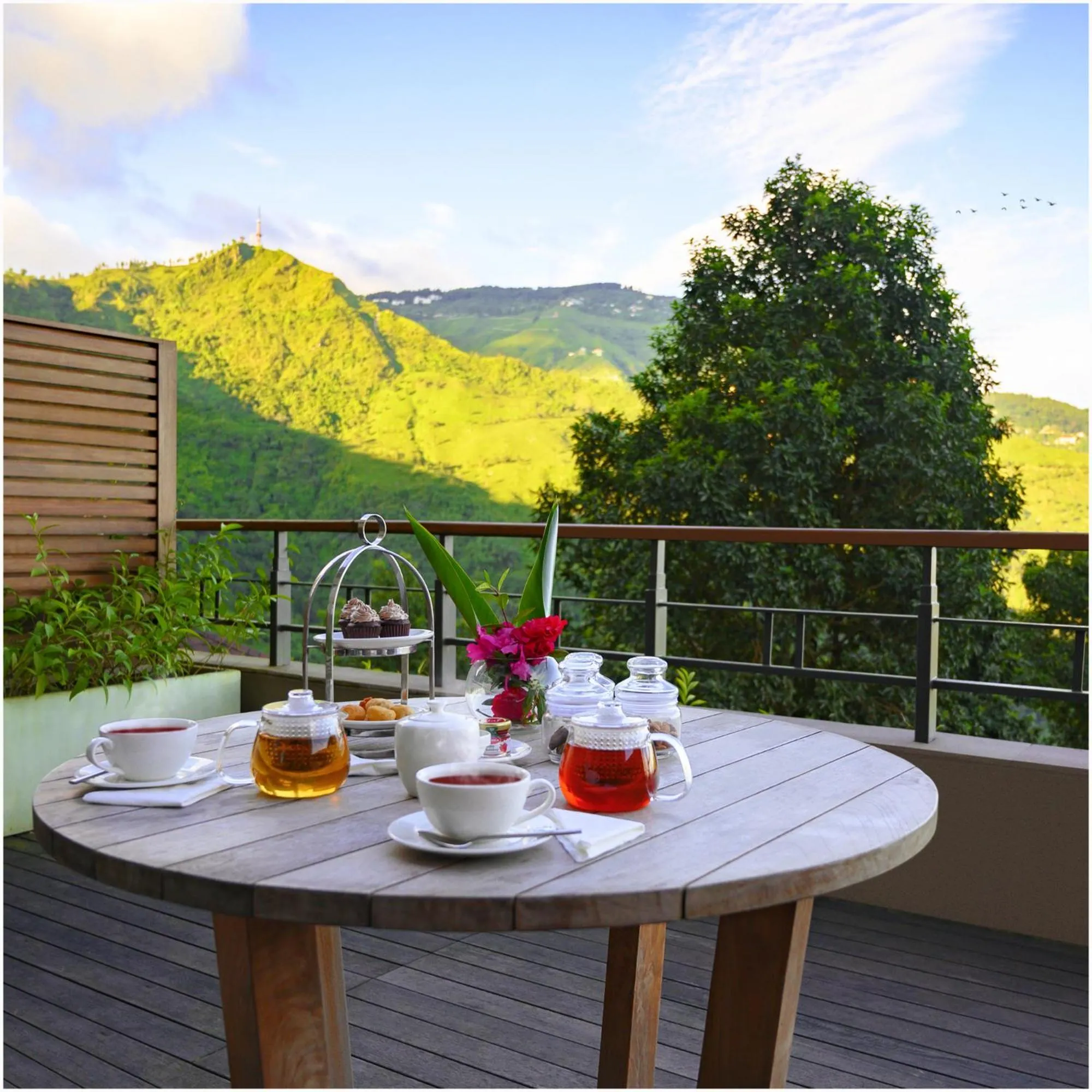 Balcony/Terrace in Taj Chia Kutir Resort & Spa Darjeeling