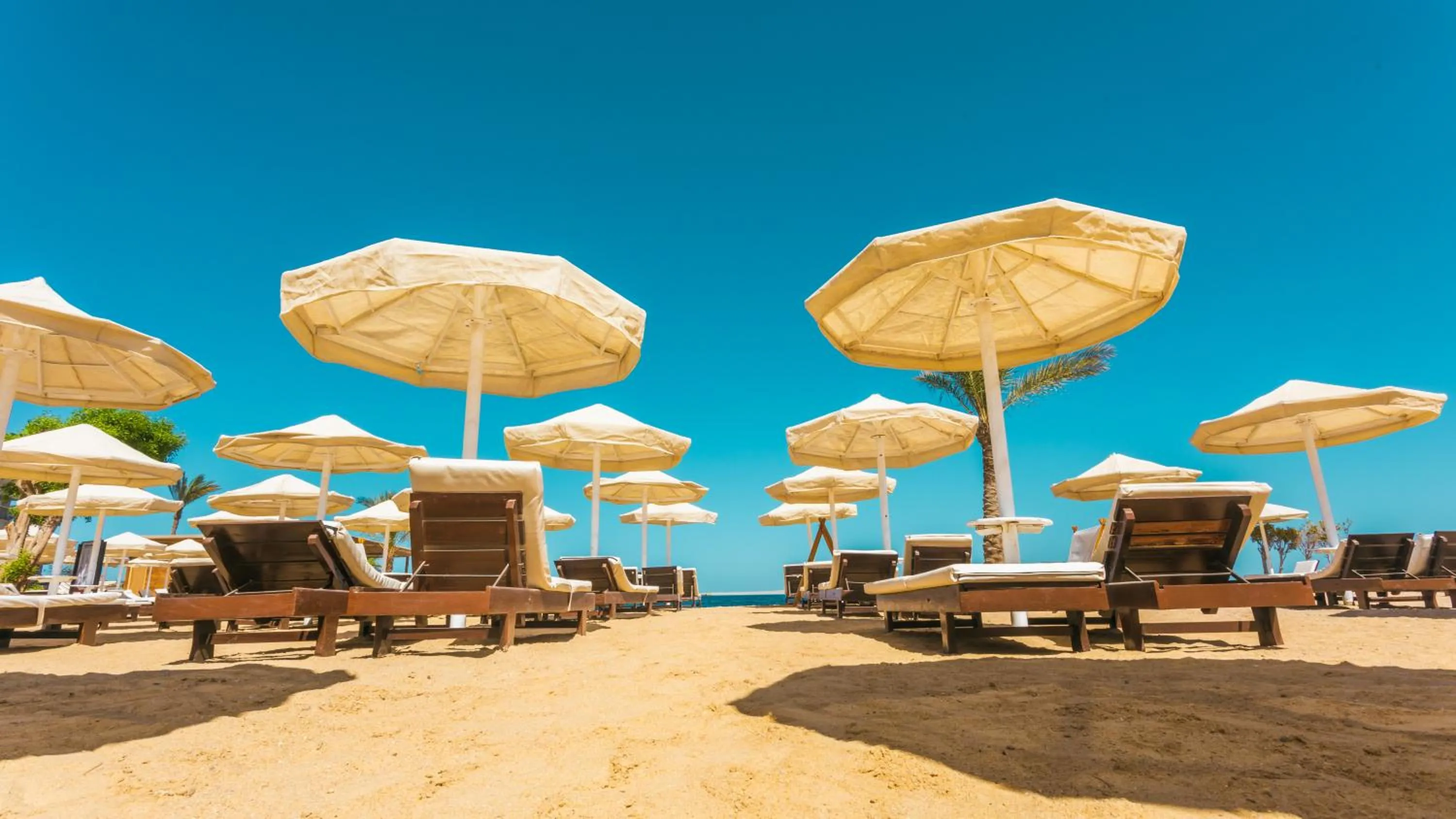 Beach in La Rosa Waves Beach - Couple & Families Only