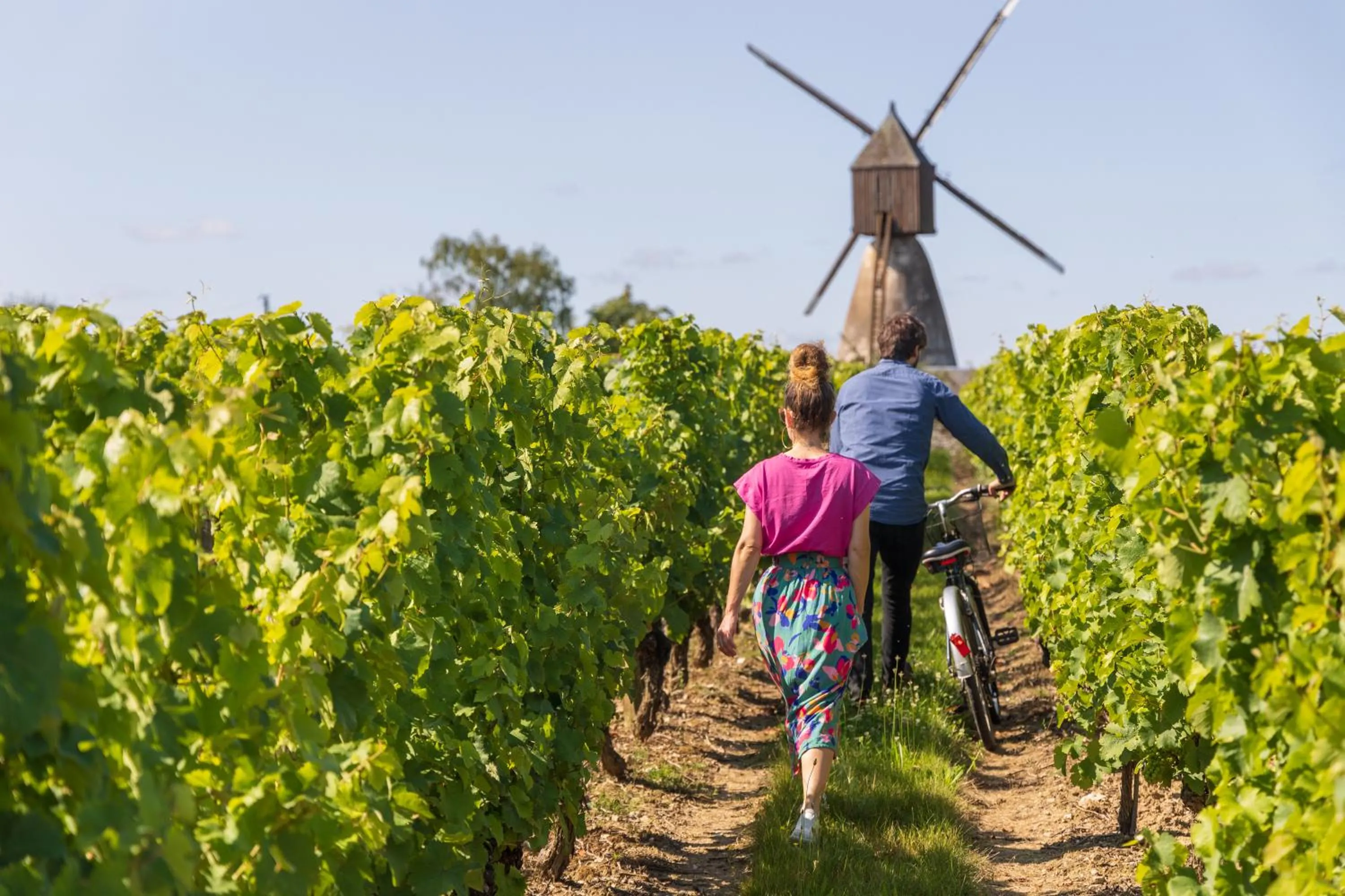 Natural landscape in Logis Loire Hotel - Les Cocottes Restaurant