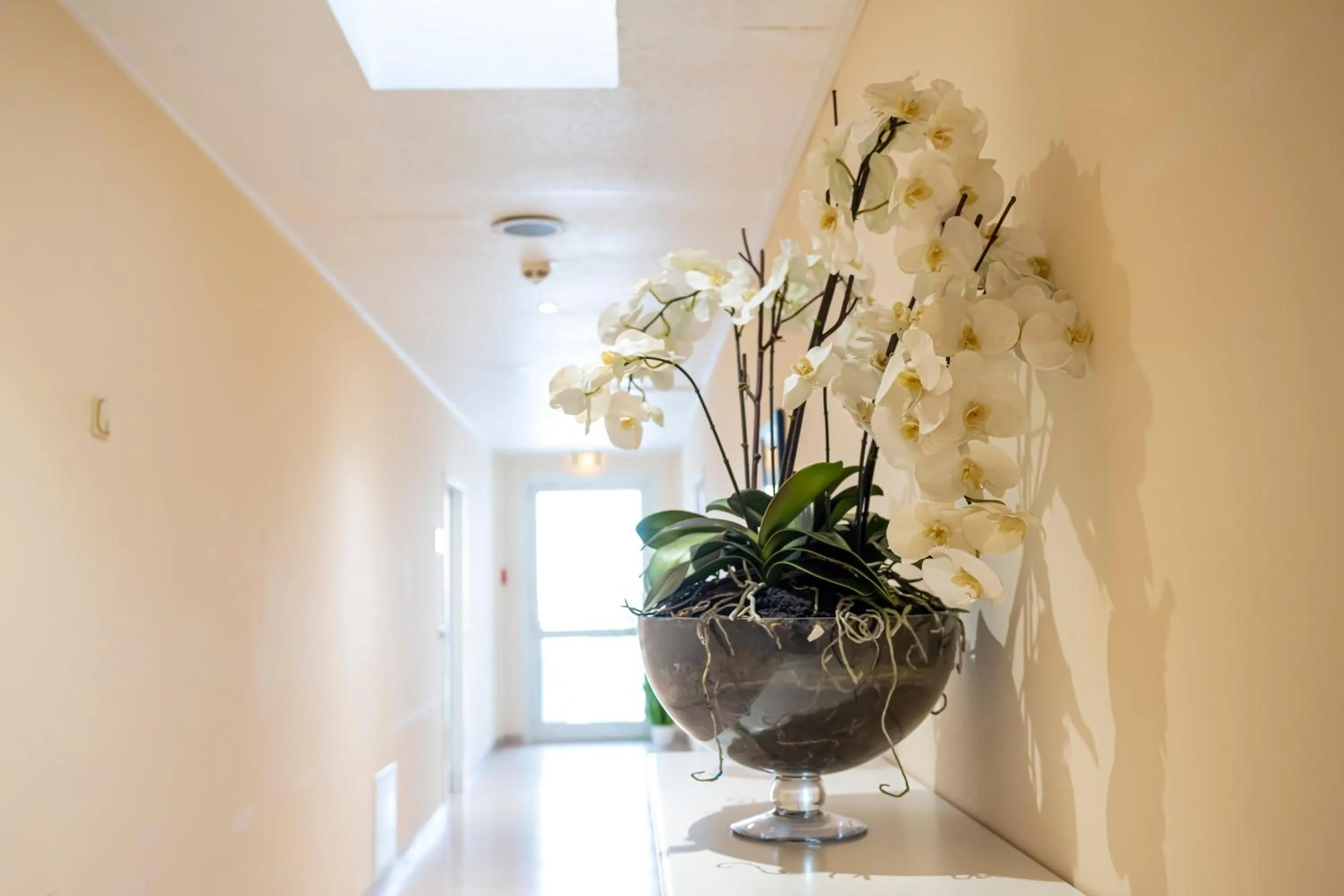 Trip Inn Hotel Astoria