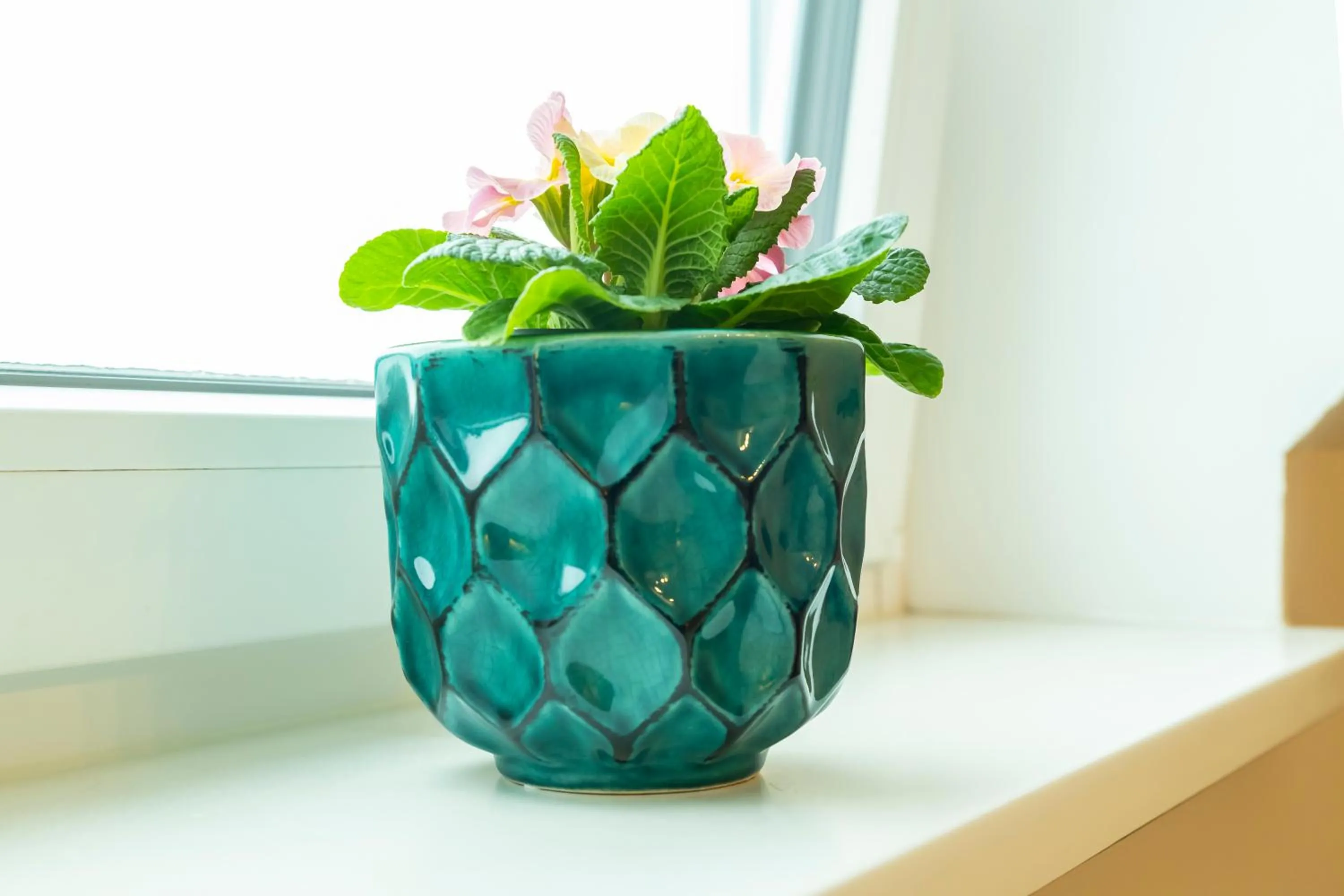 Trip Inn Hotel Astoria