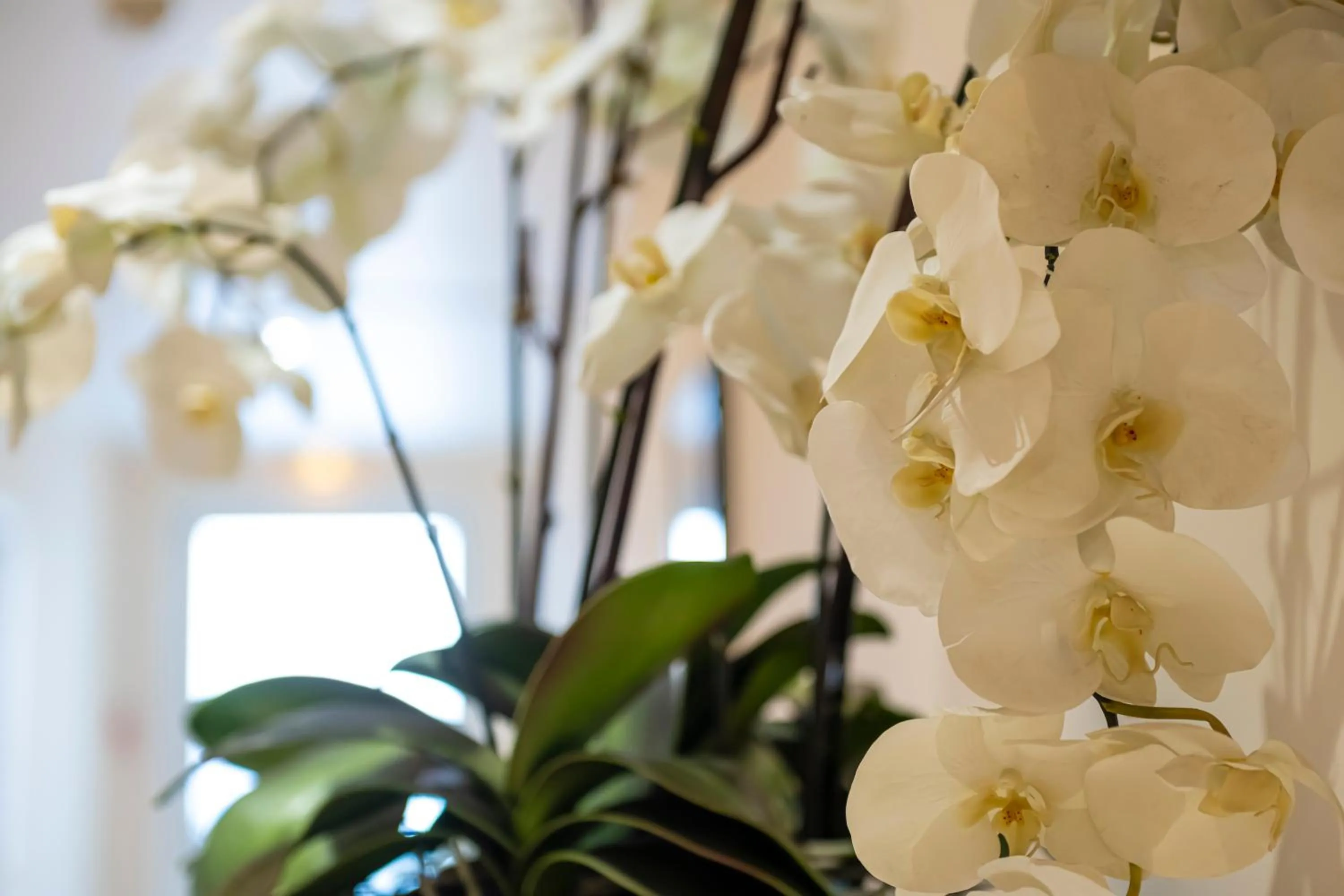 Trip Inn Hotel Astoria