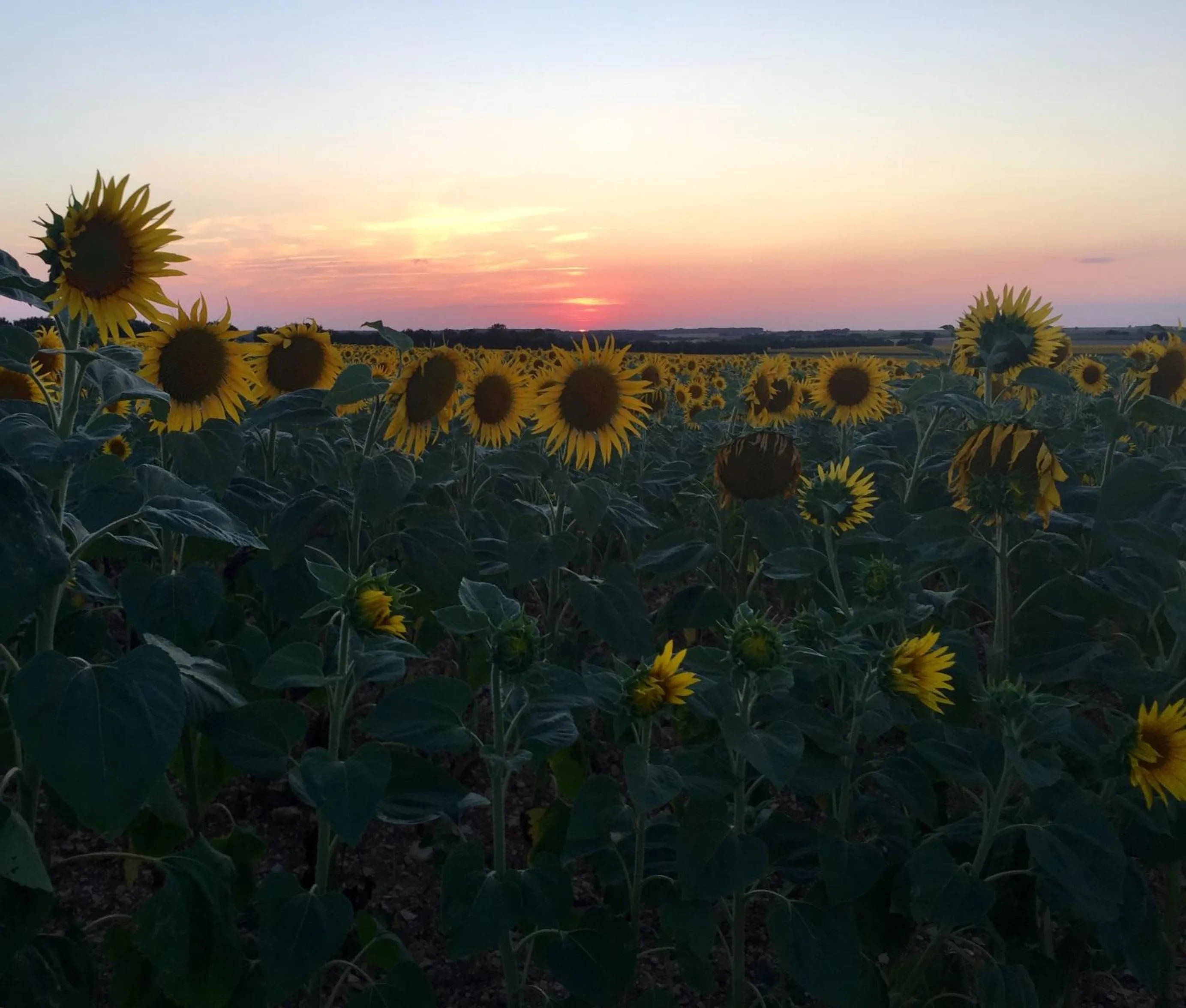 Natural landscape in La Vieille Distillerie