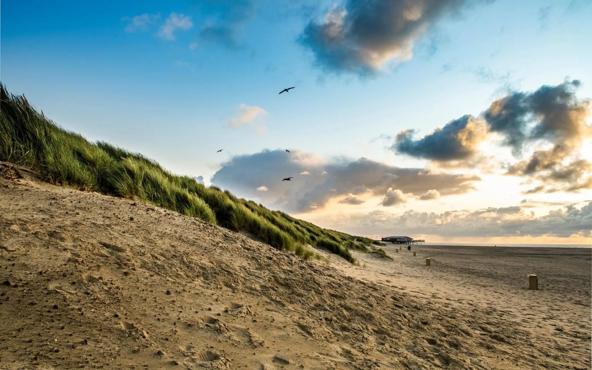 Area and facilities in Ride by the Sea Guesthouse