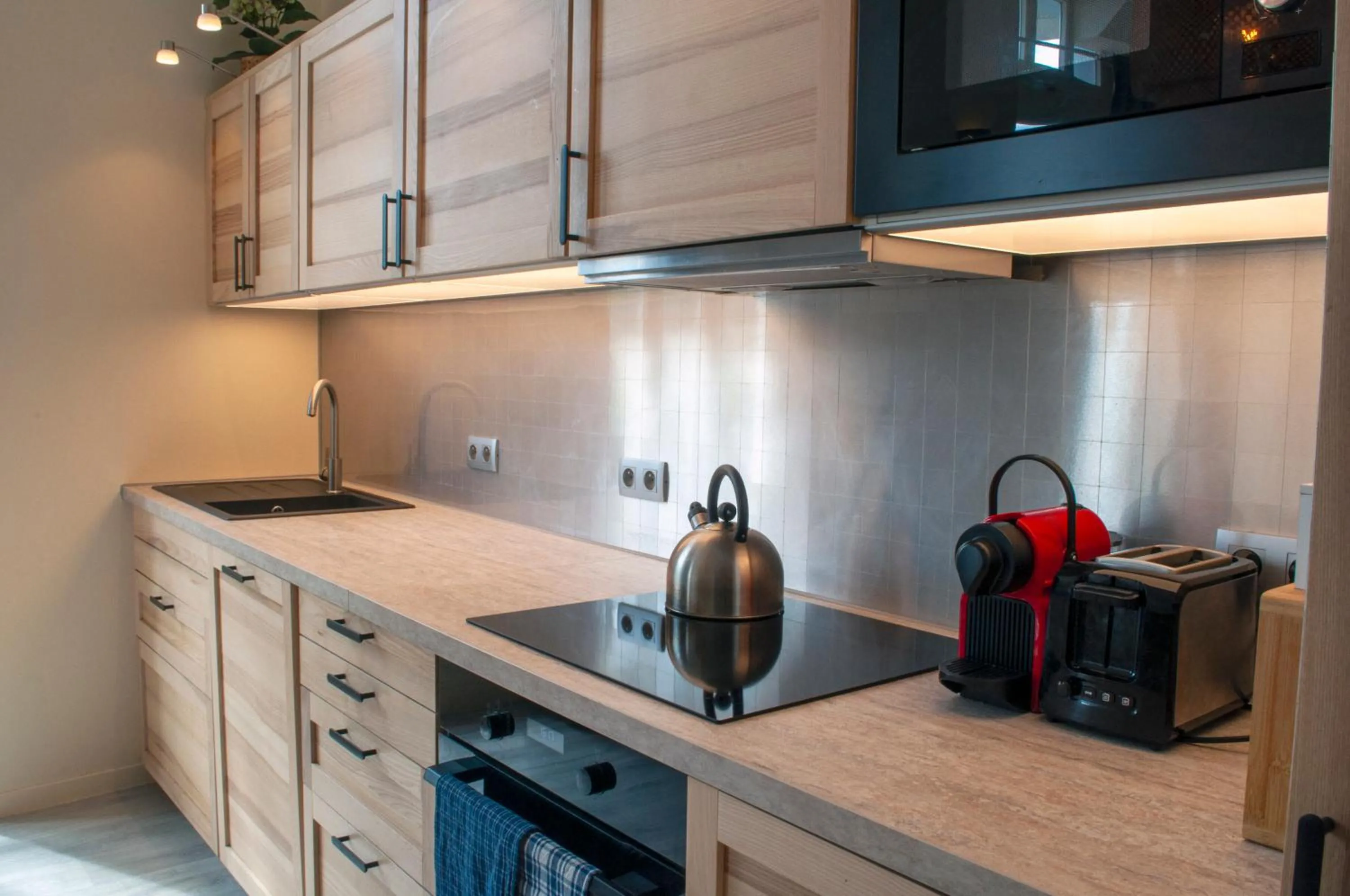Kitchen or kitchenette in Panorama apartment Briancon
