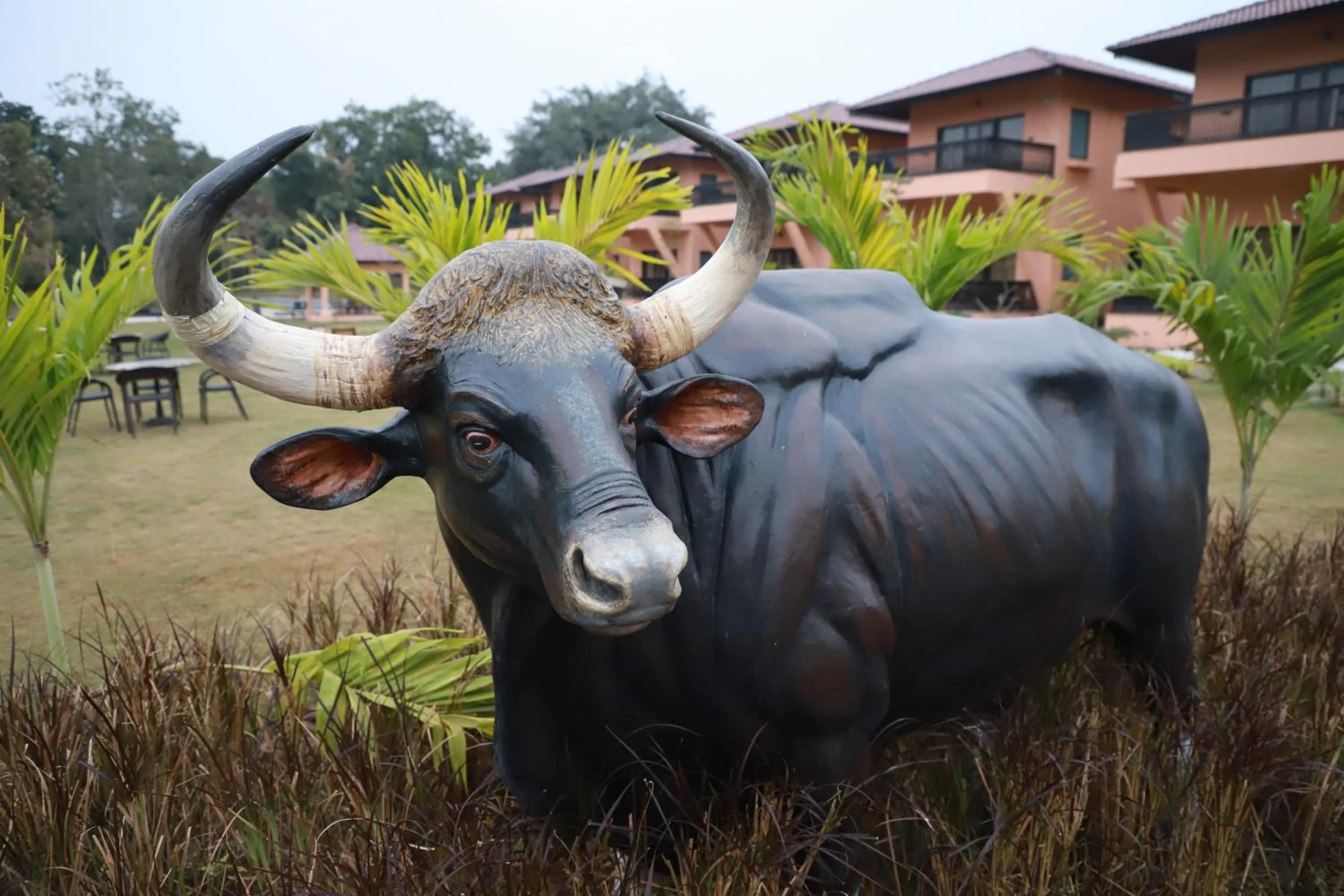 The Pench International