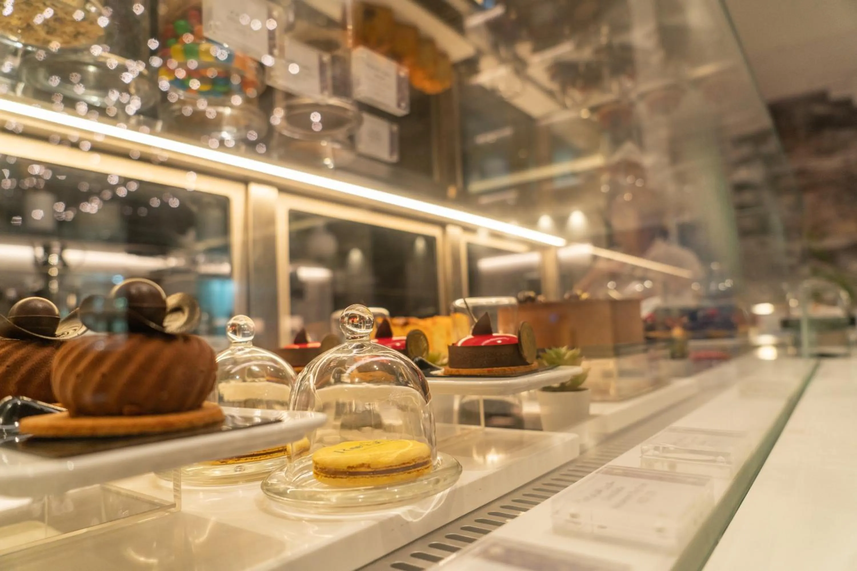 Drinks in Amwaj Rotana, Jumeirah Beach - Dubai