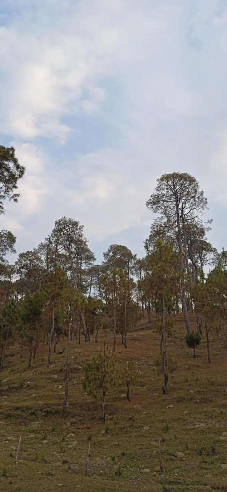 View (from property/room) in The Ranikhet Continental