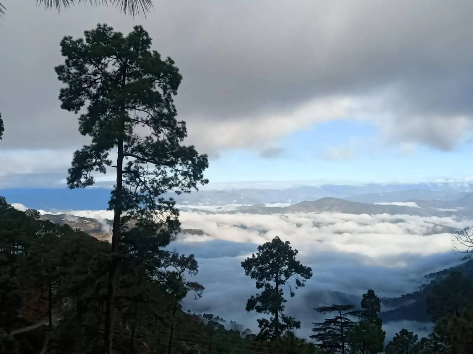 Property building in The Ranikhet Continental