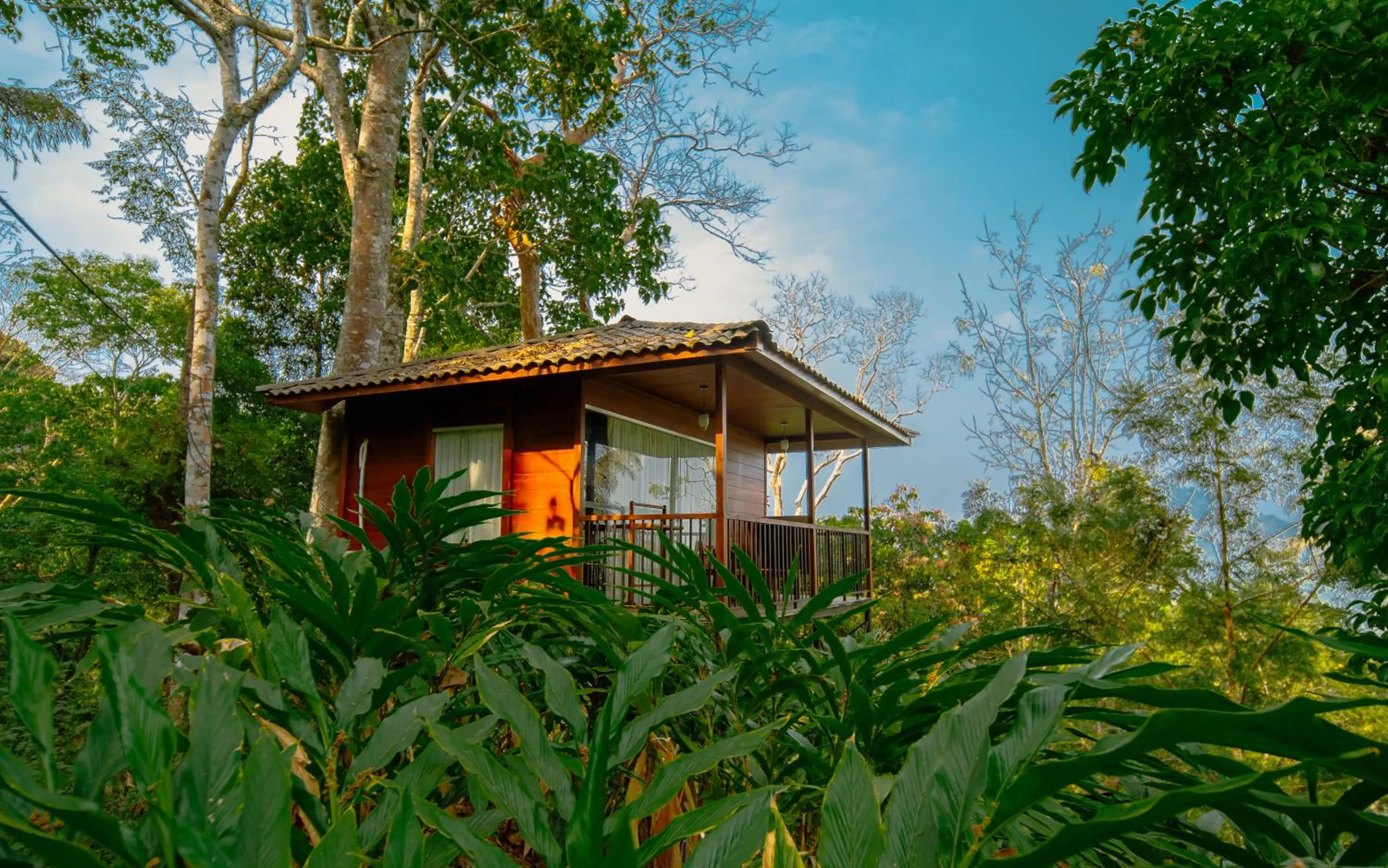 View (from property/room) in Southern Panorama Indriya Resorts & Spa