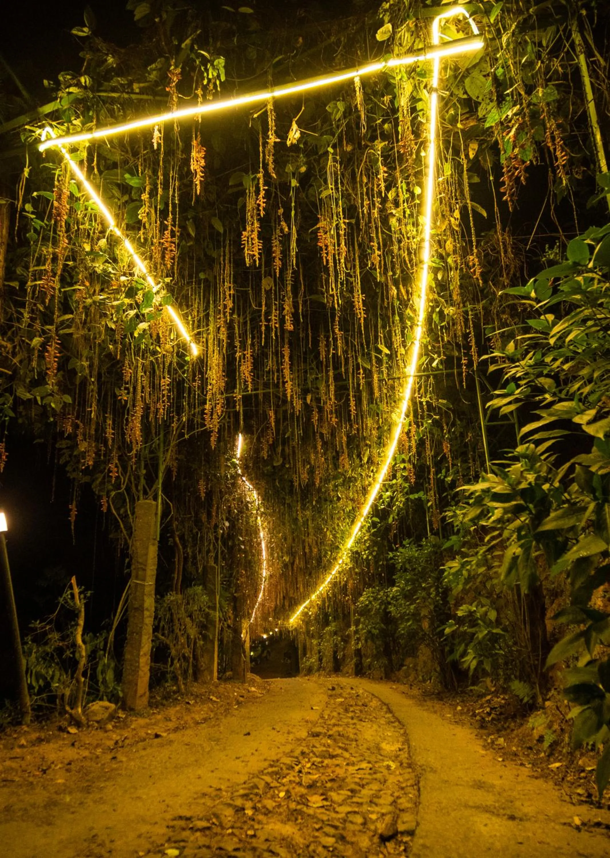 View (from property/room) in Southern Panorama Indriya Resorts & Spa