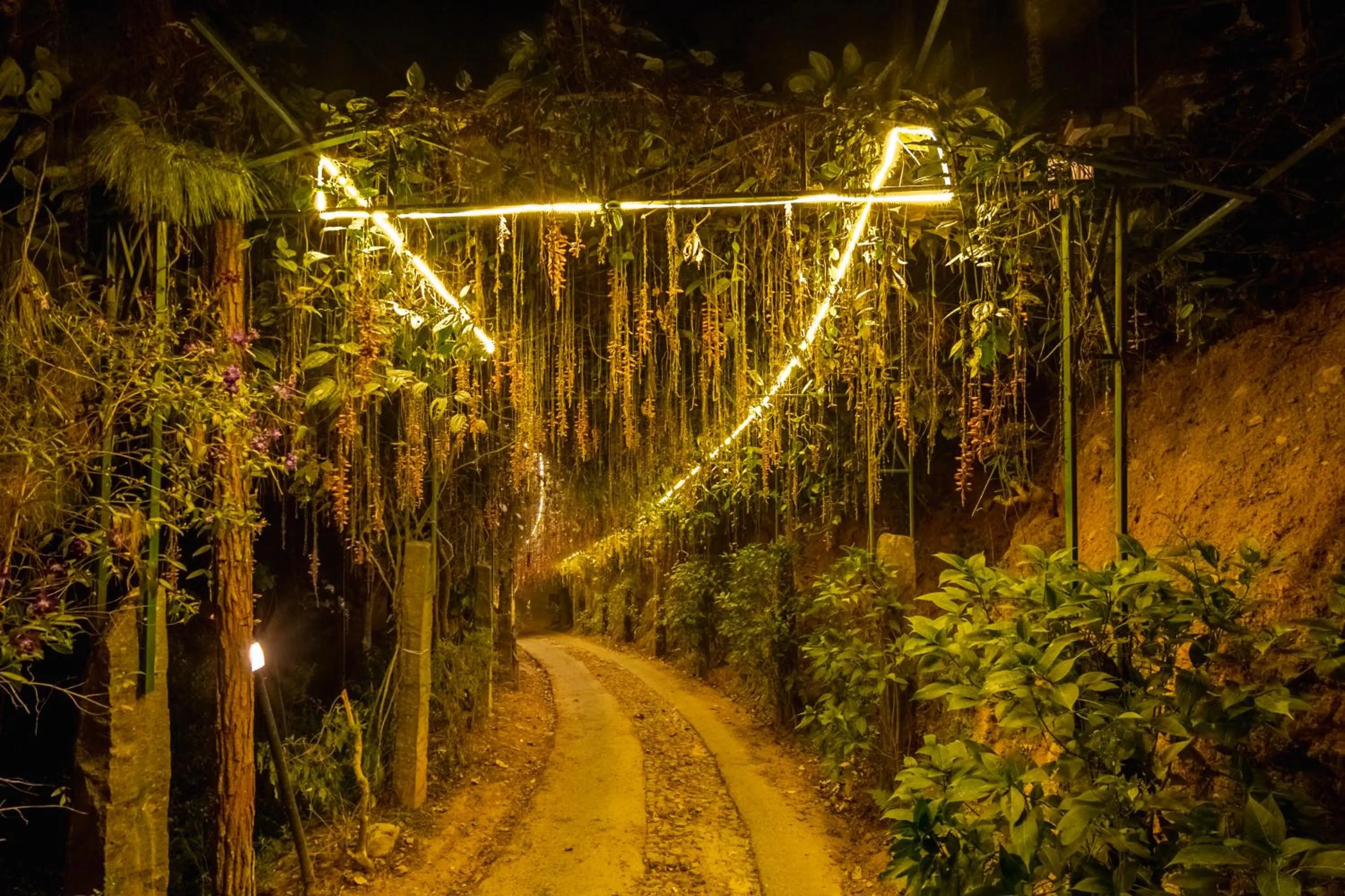 View (from property/room) in Southern Panorama Indriya Resorts & Spa