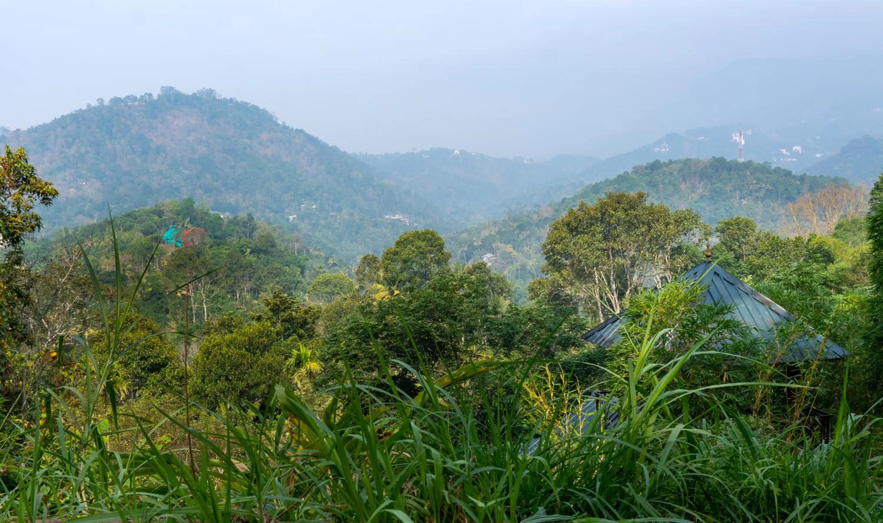View (from property/room) in Southern Panorama Indriya Resorts & Spa