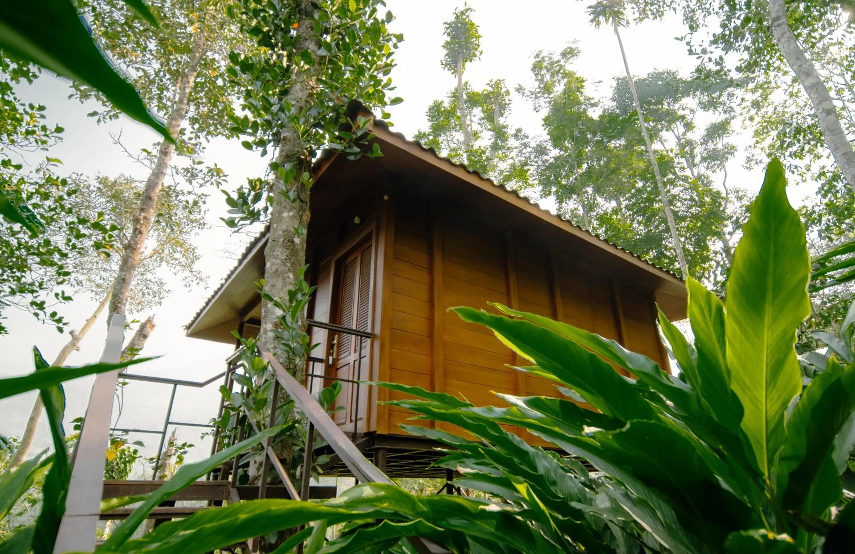 View (from property/room) in Southern Panorama Indriya Resorts & Spa