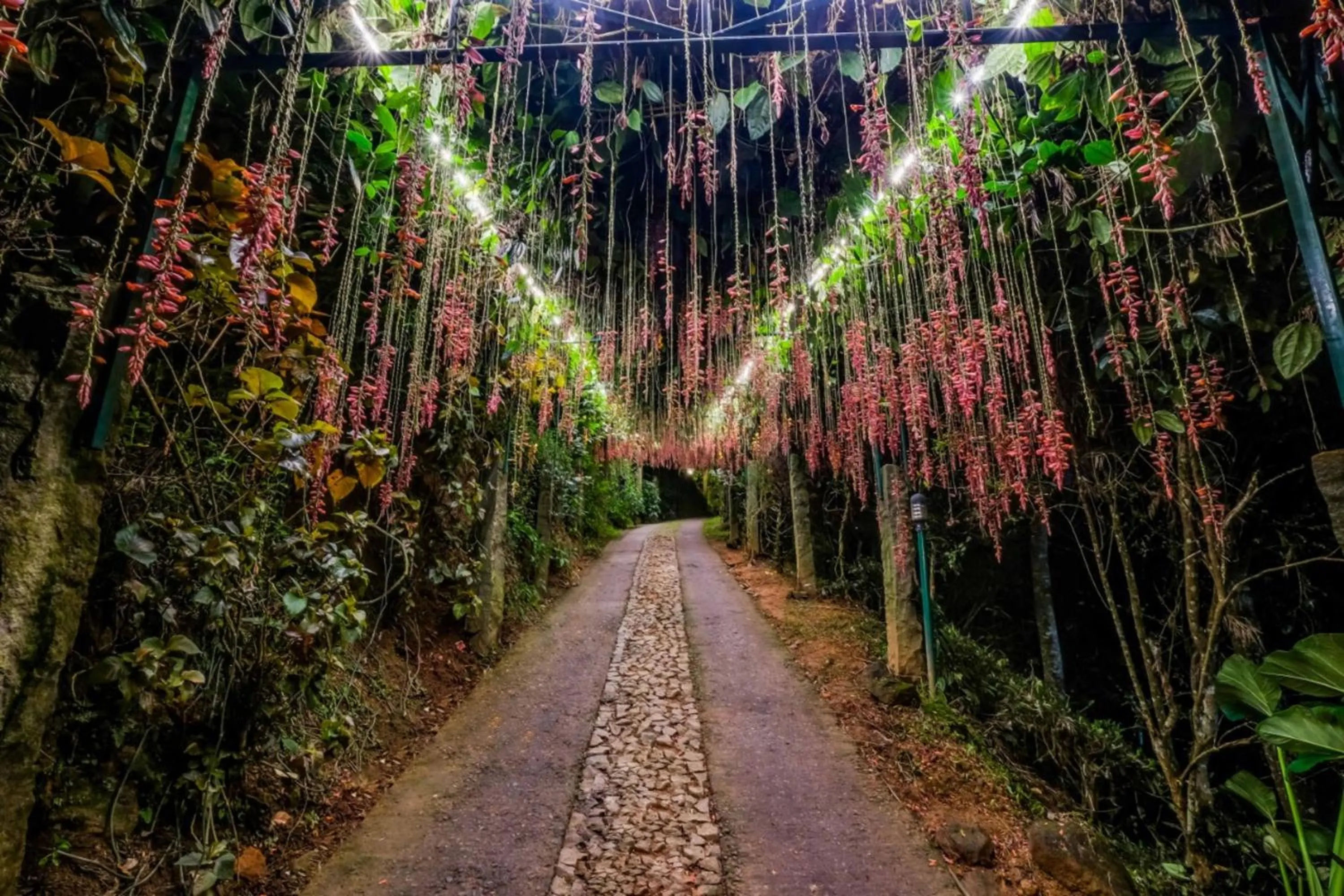 Natural landscape in Southern Panorama Indriya Resorts & Spa