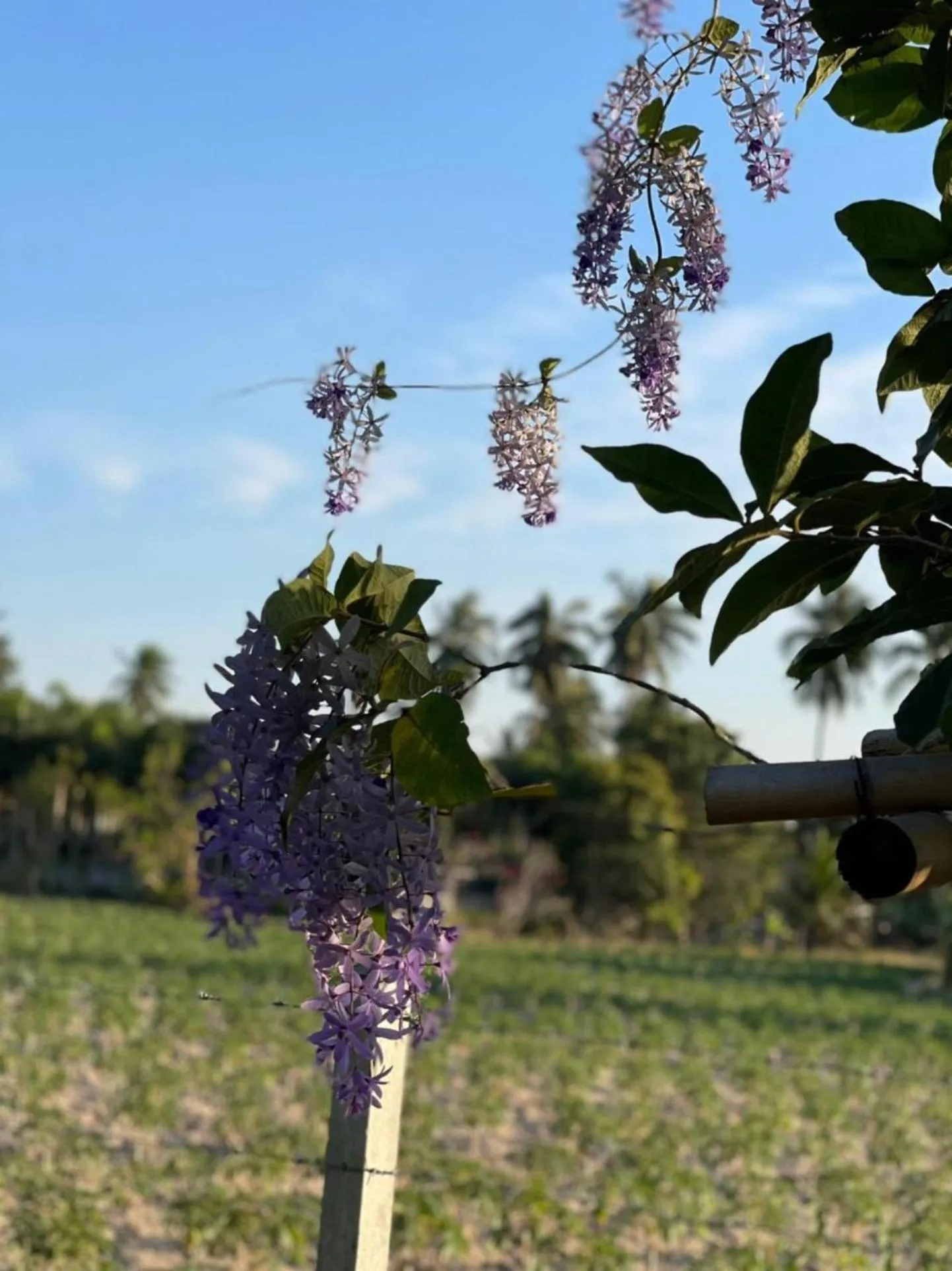 People in Long Lake Resort